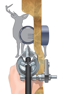 An illustration of a compound bow sight aiming at a deer. 