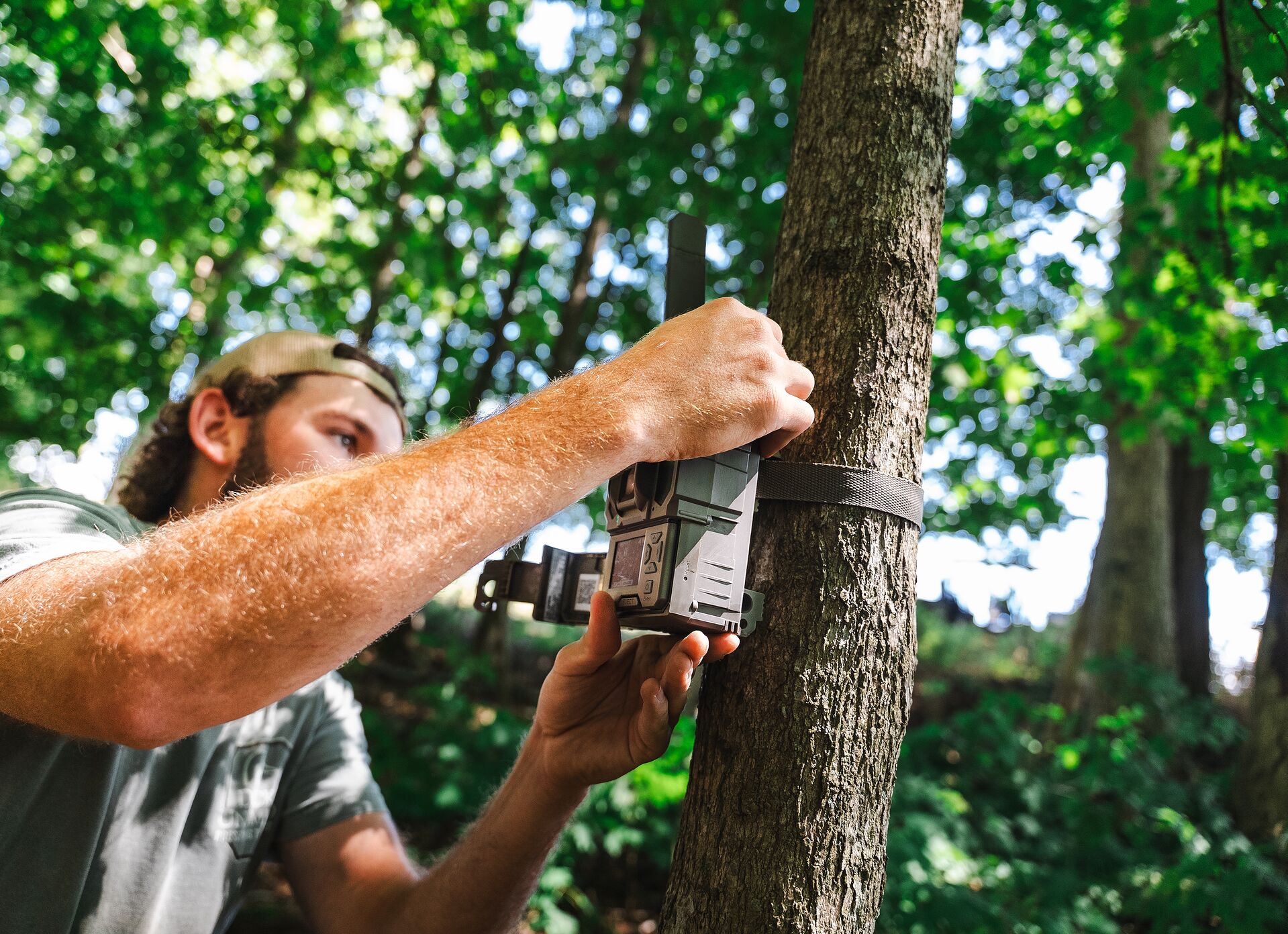 Hunter puts a trail camera on a tree, set up a trail cam concept.