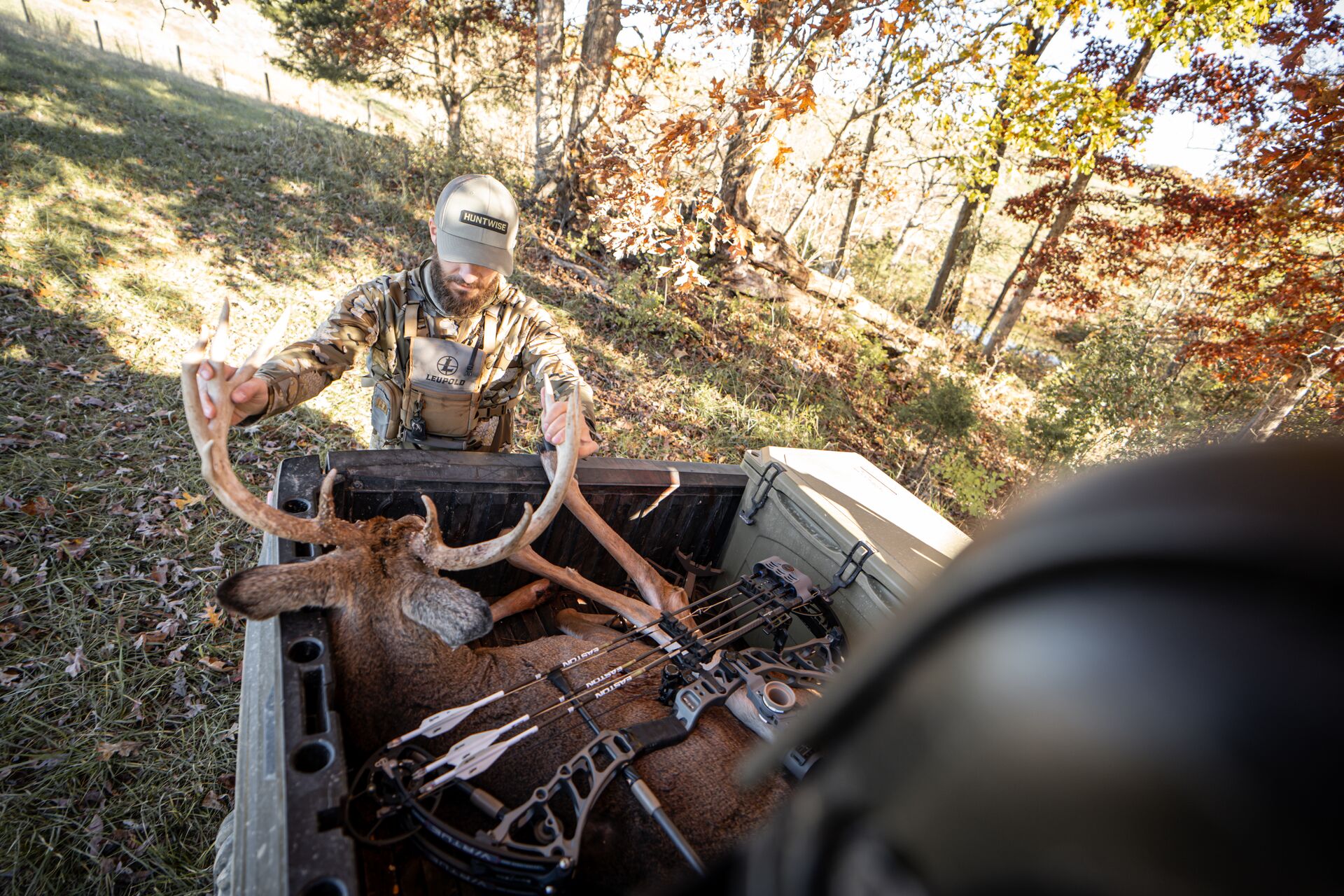Buck deer in the back of ATV, hunt deer for venison concept.