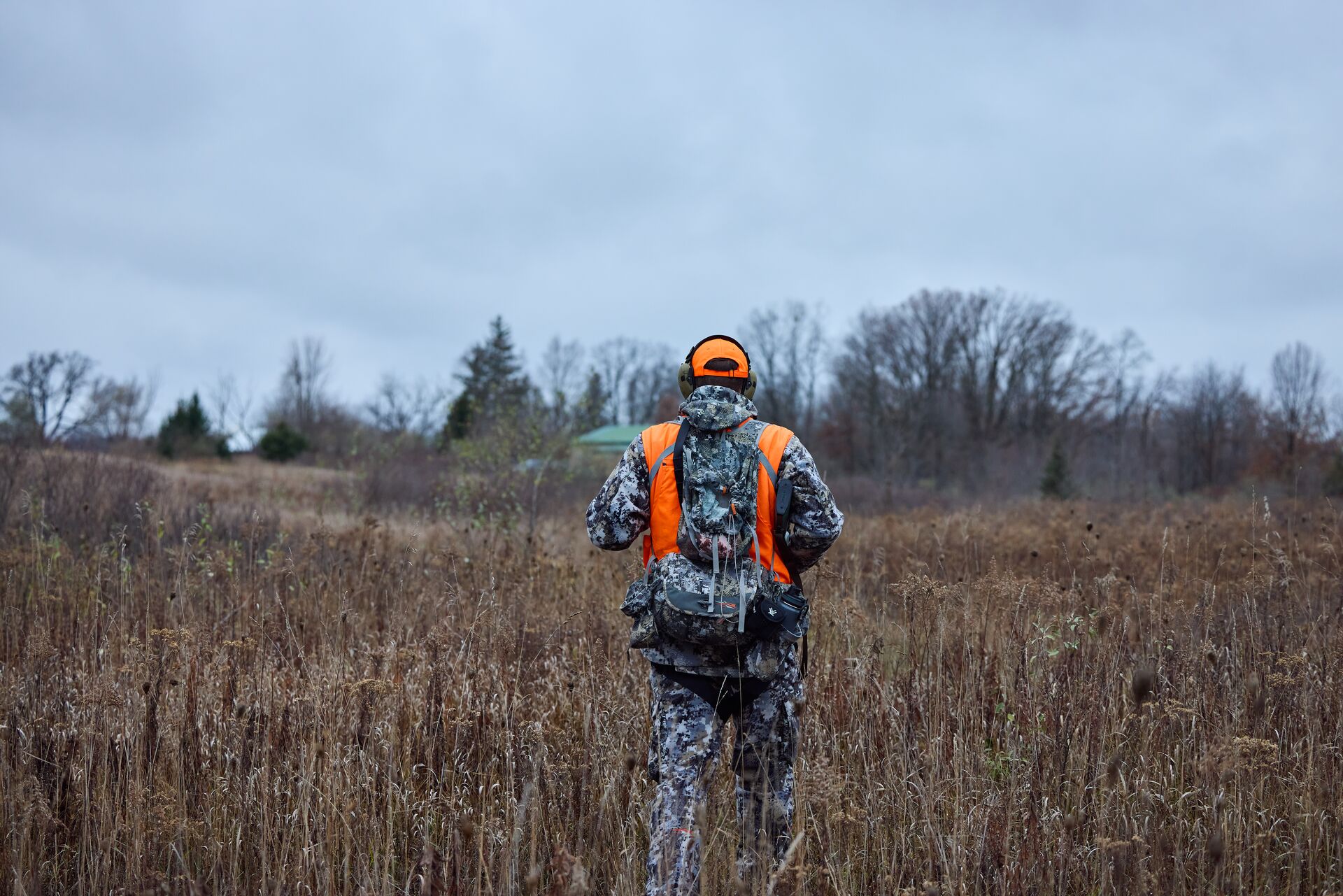 Looking at the back of a hunter in camo and blaze orange walking through a field, hunter safety concept. 