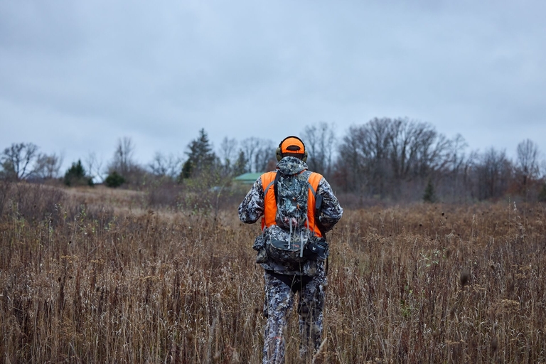 Looking at the back of a hunter in camo and blaze orange walking through a field, hunter safety concept. 