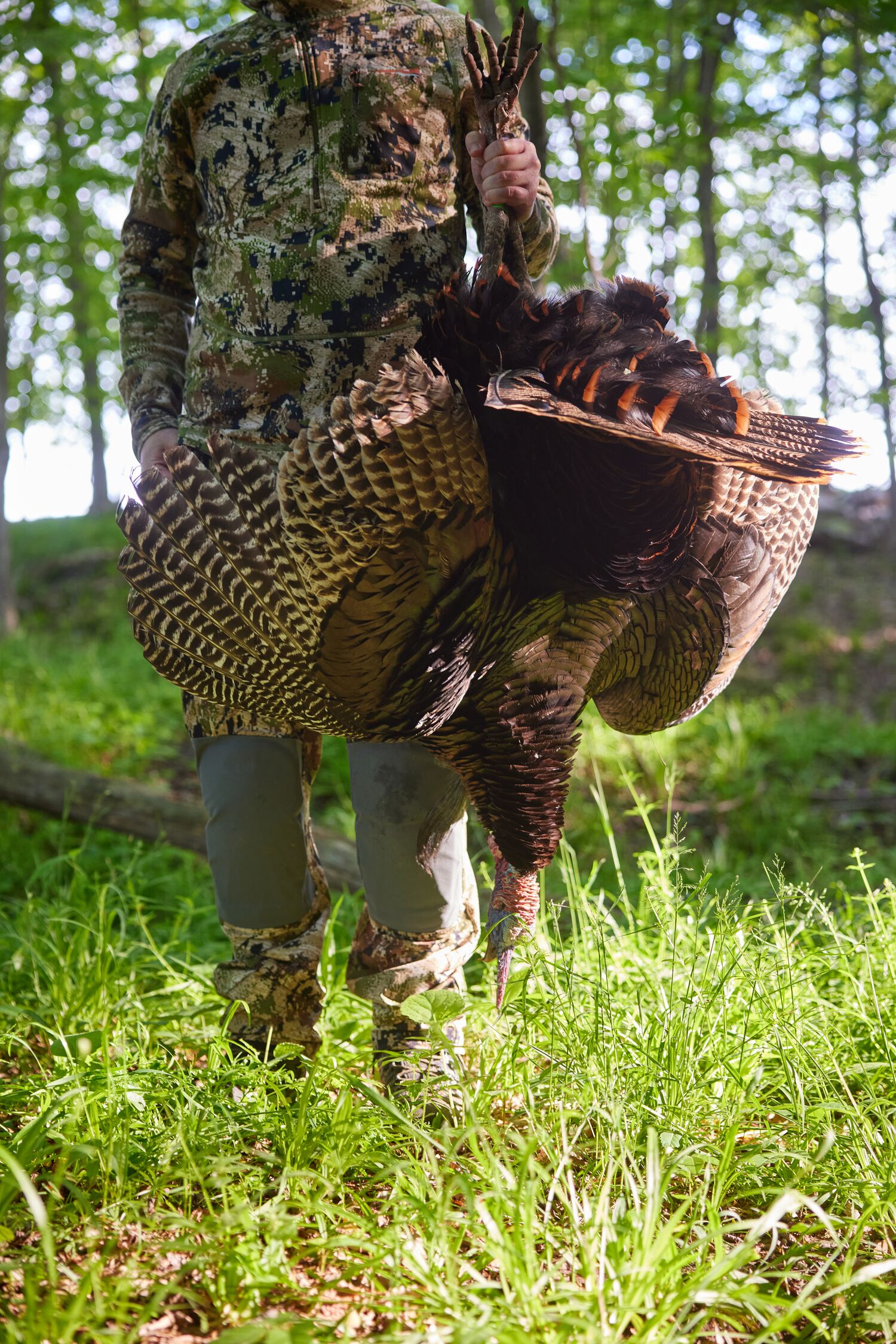 Hunter holds a turkey up by the feet after a successful hunt.