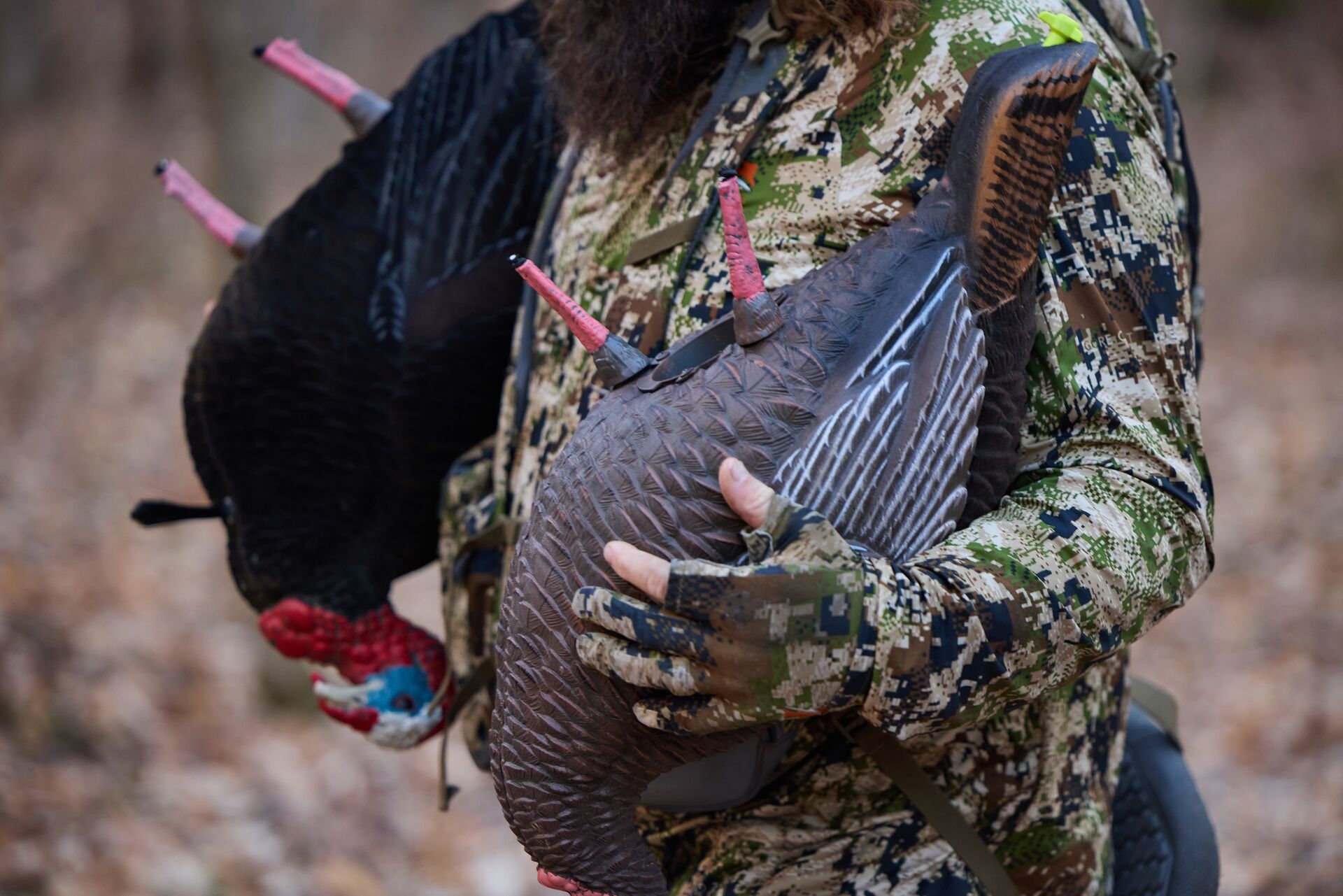 A hunter carries turkey decoys, after turkey hunting concept. 