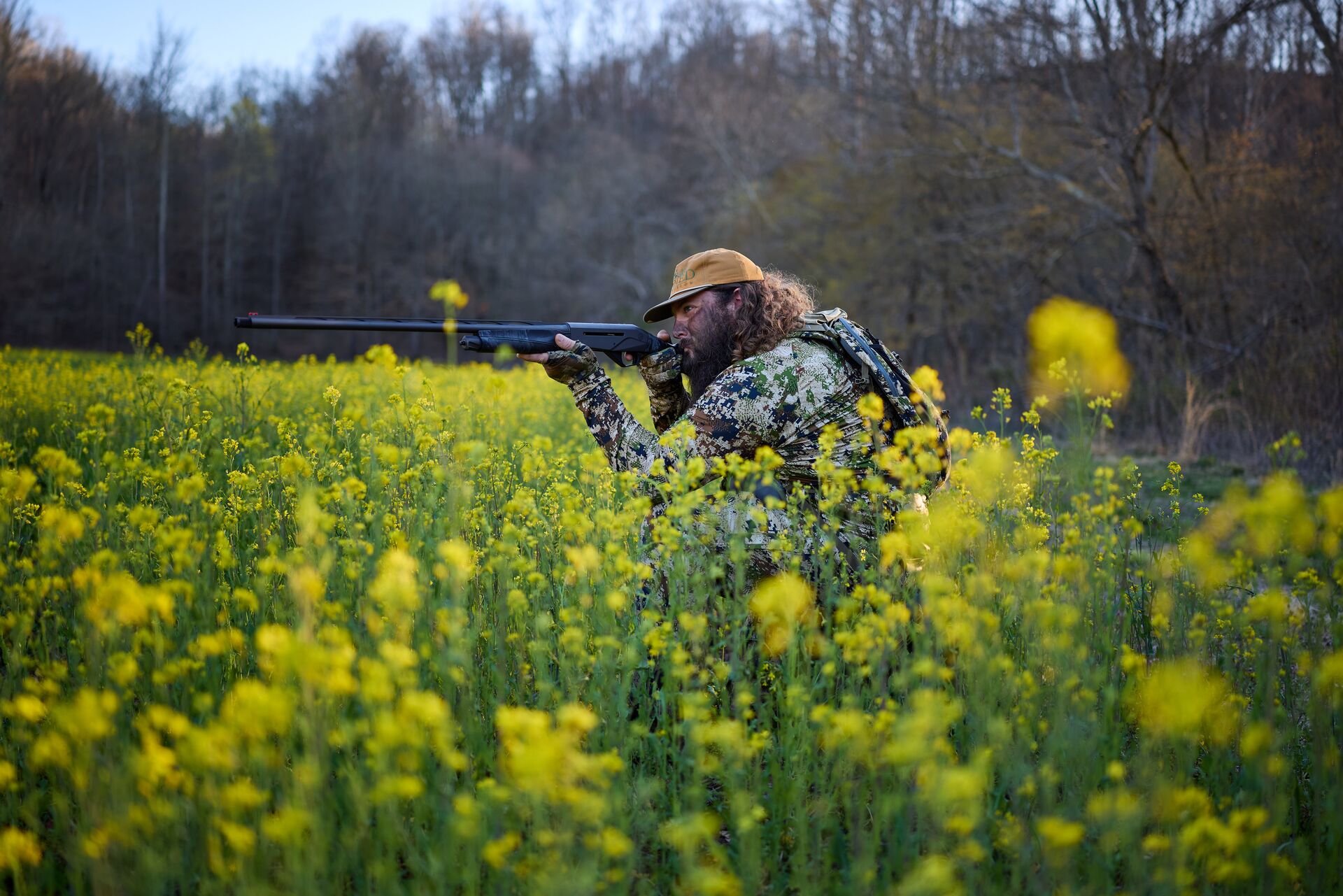 Hunter in a field of yellow flowers aims shotgun, spring hunting seasons concept.
