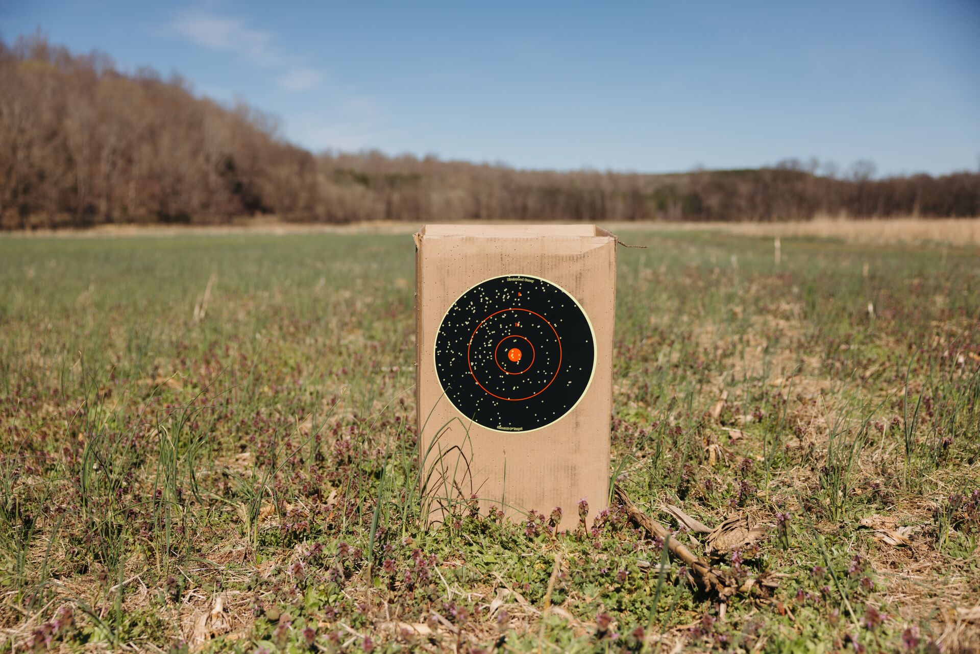 A paper target in a field showing a shot spread when patterning a shotgun.