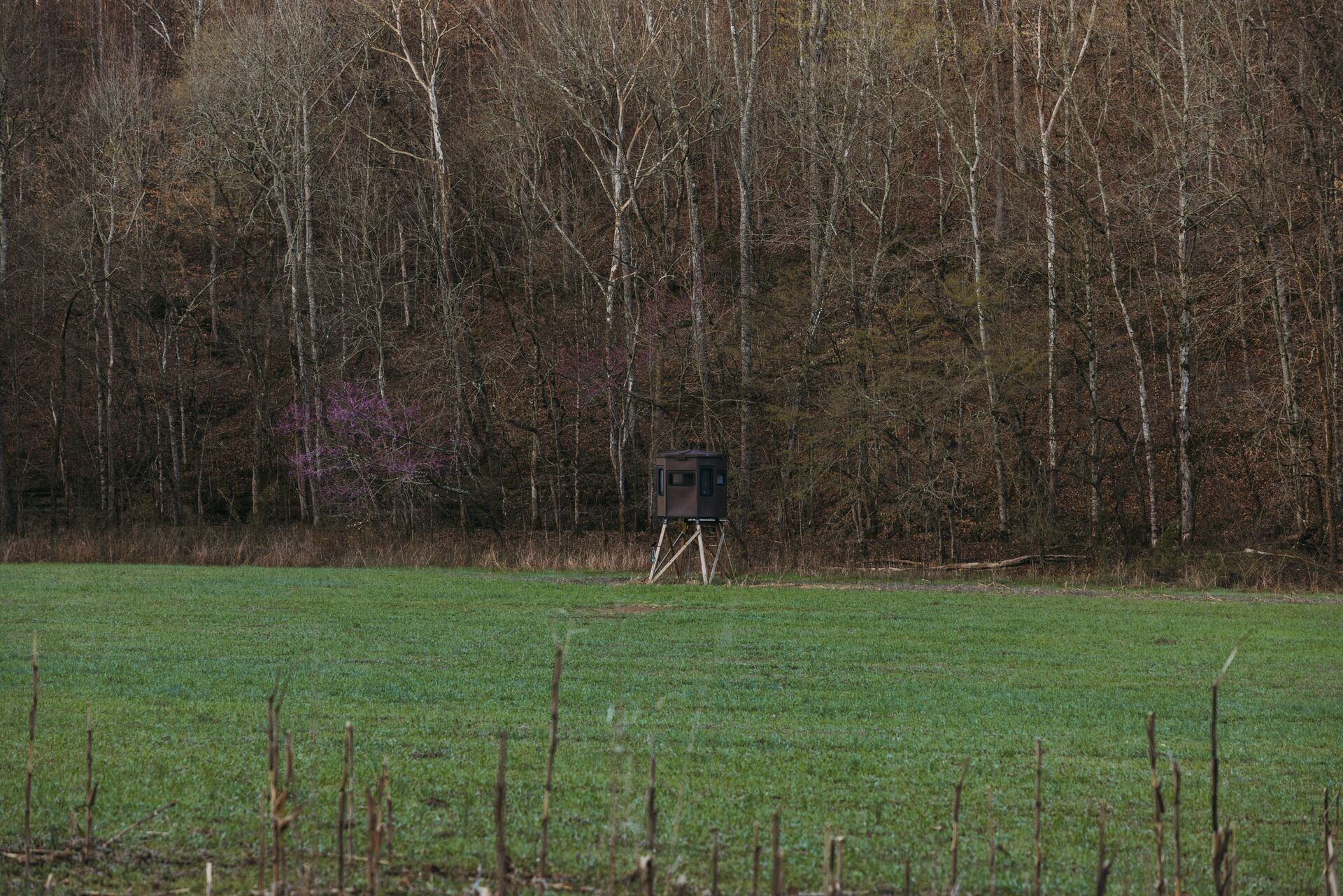 Hunting blind at the edge of a field, how to ask landowners for permission to hunt concept.