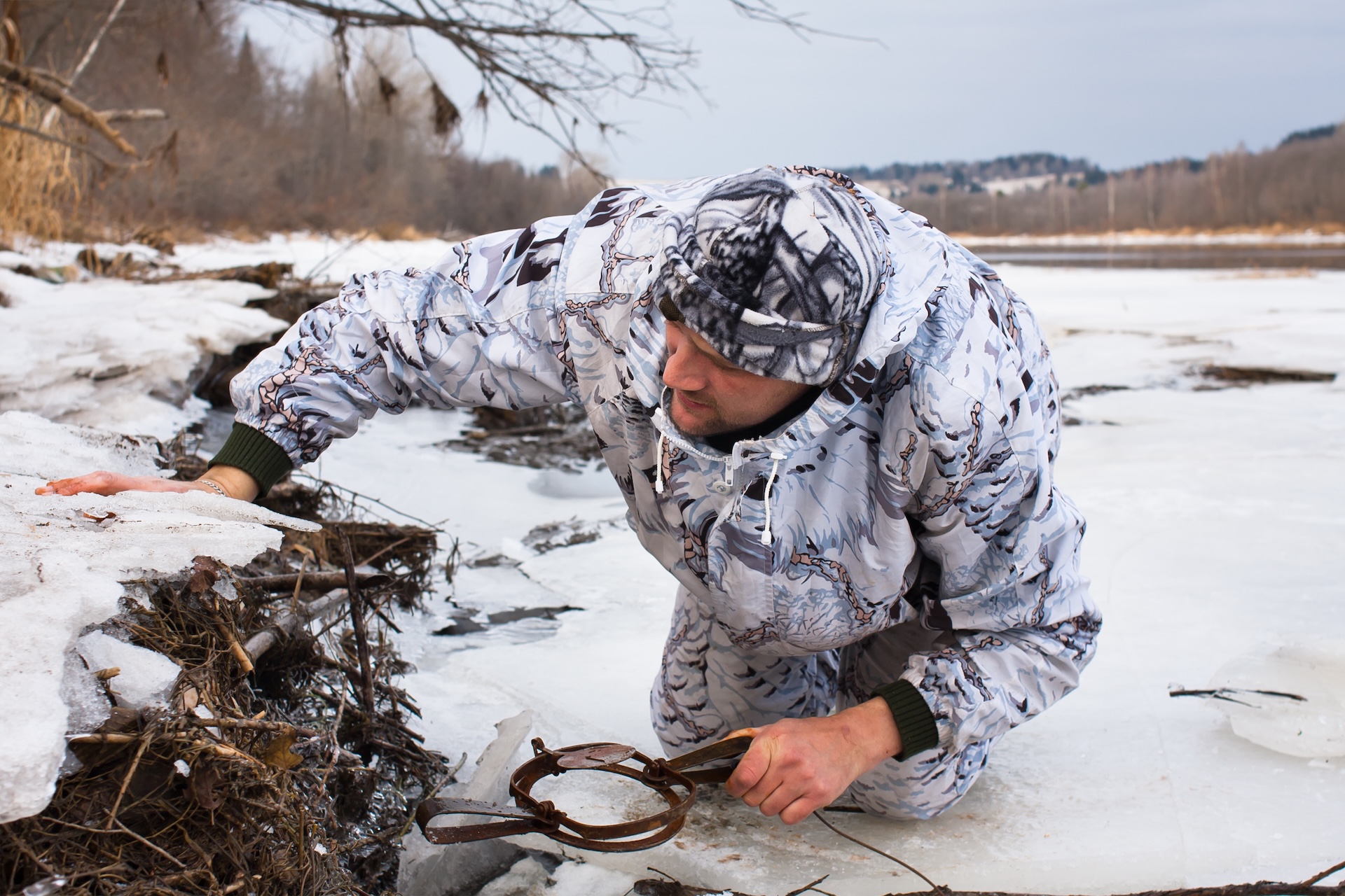 A hunter sets a trap in the snow, hunting and trapping regulations concept.