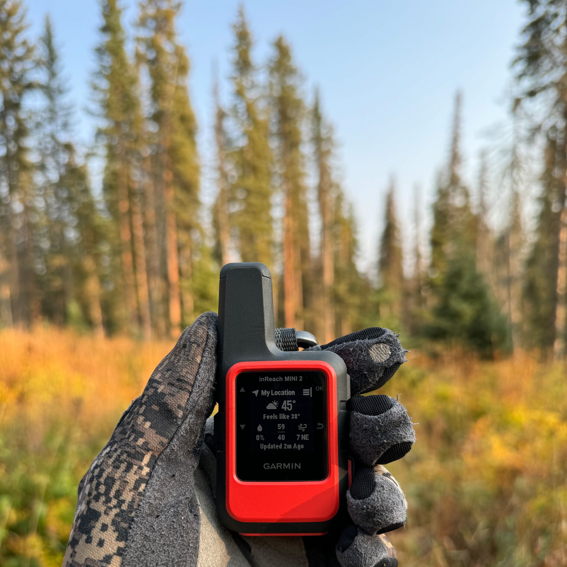 Hand holding a GPS unit, hunting for beginners concept. 