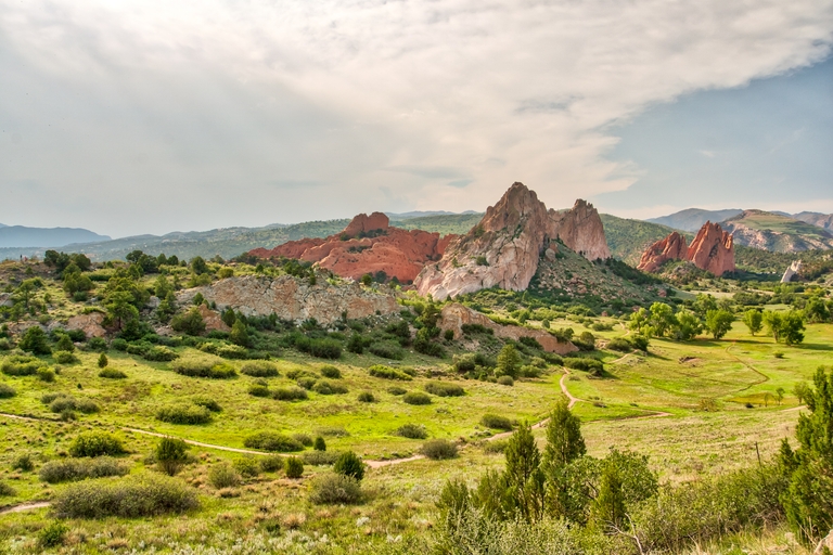 Field, brush, and rocks, hunter safety when hunting non-traditional game. 