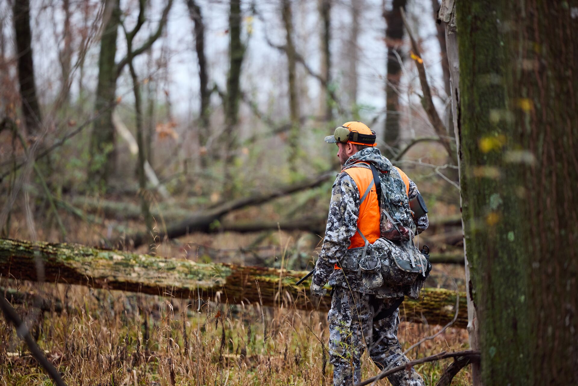 Hunter in camo and blaze orange walks through woods. 