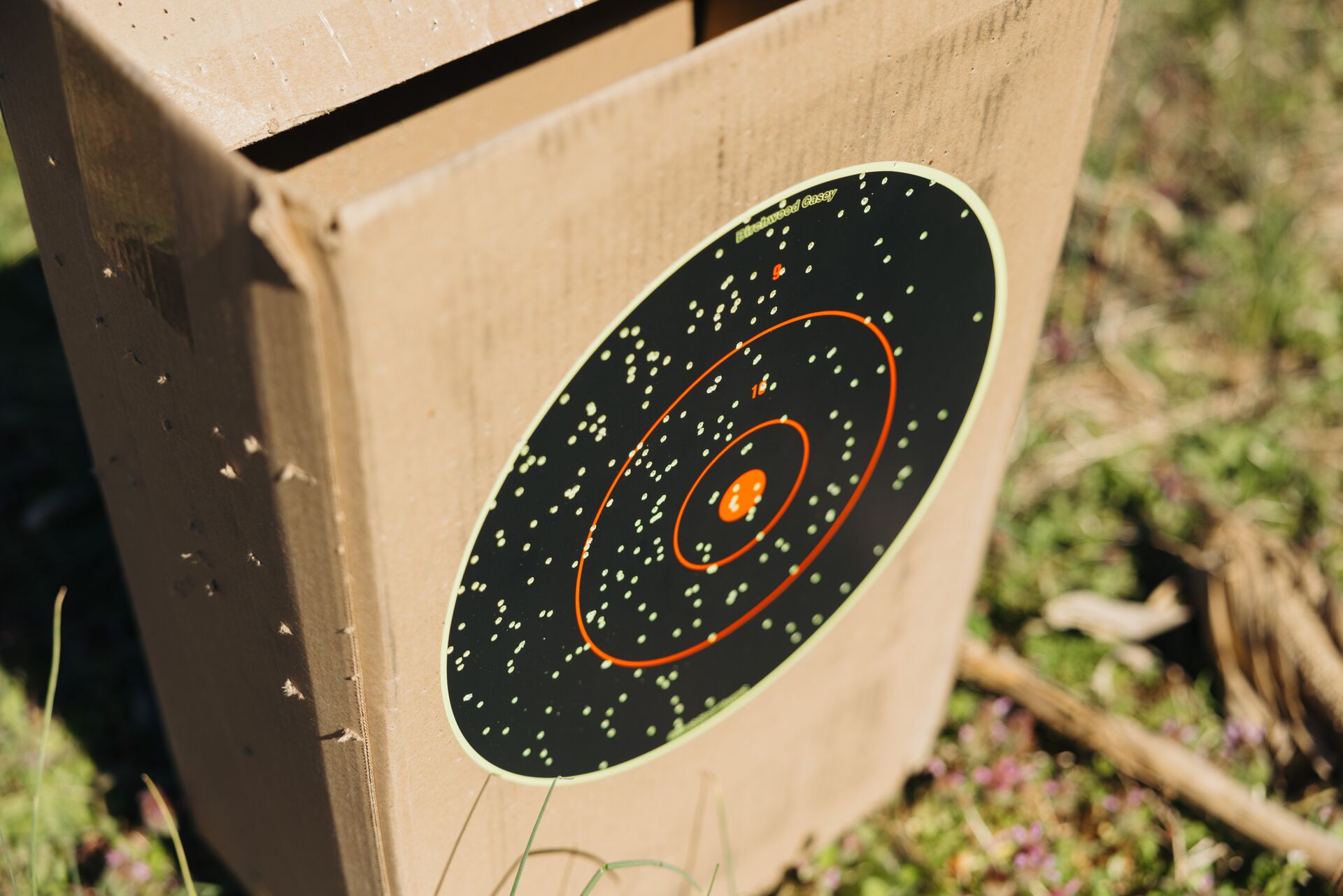 Shotgun pellet patterns in a paper target. 