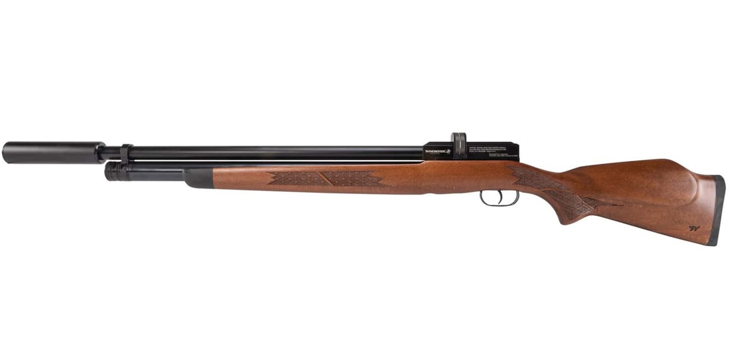 Airgun Big Bore rifle, deer hunting with a air rifle concept. 