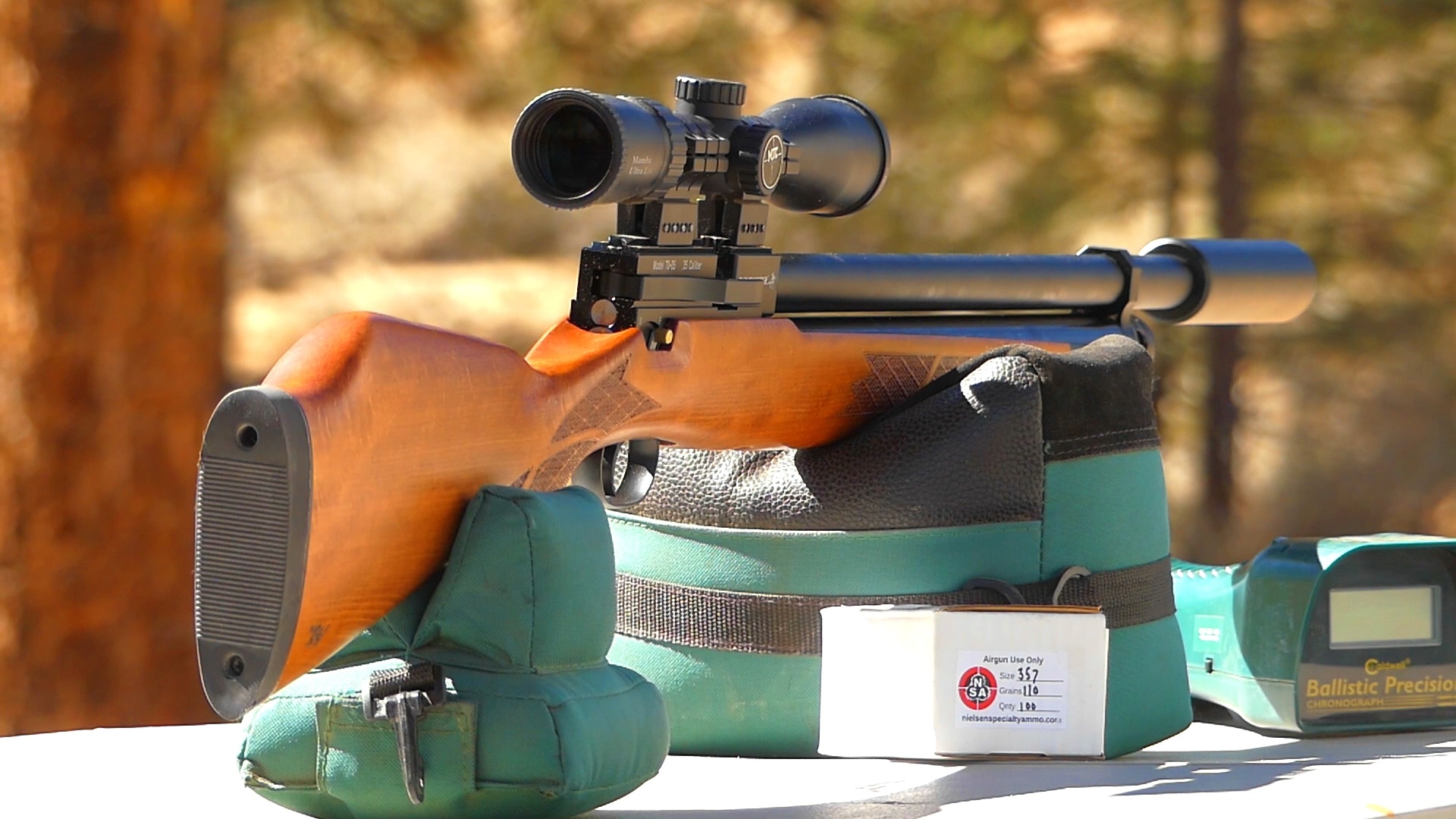 Airgun on a stand, airgun hunting concept. 