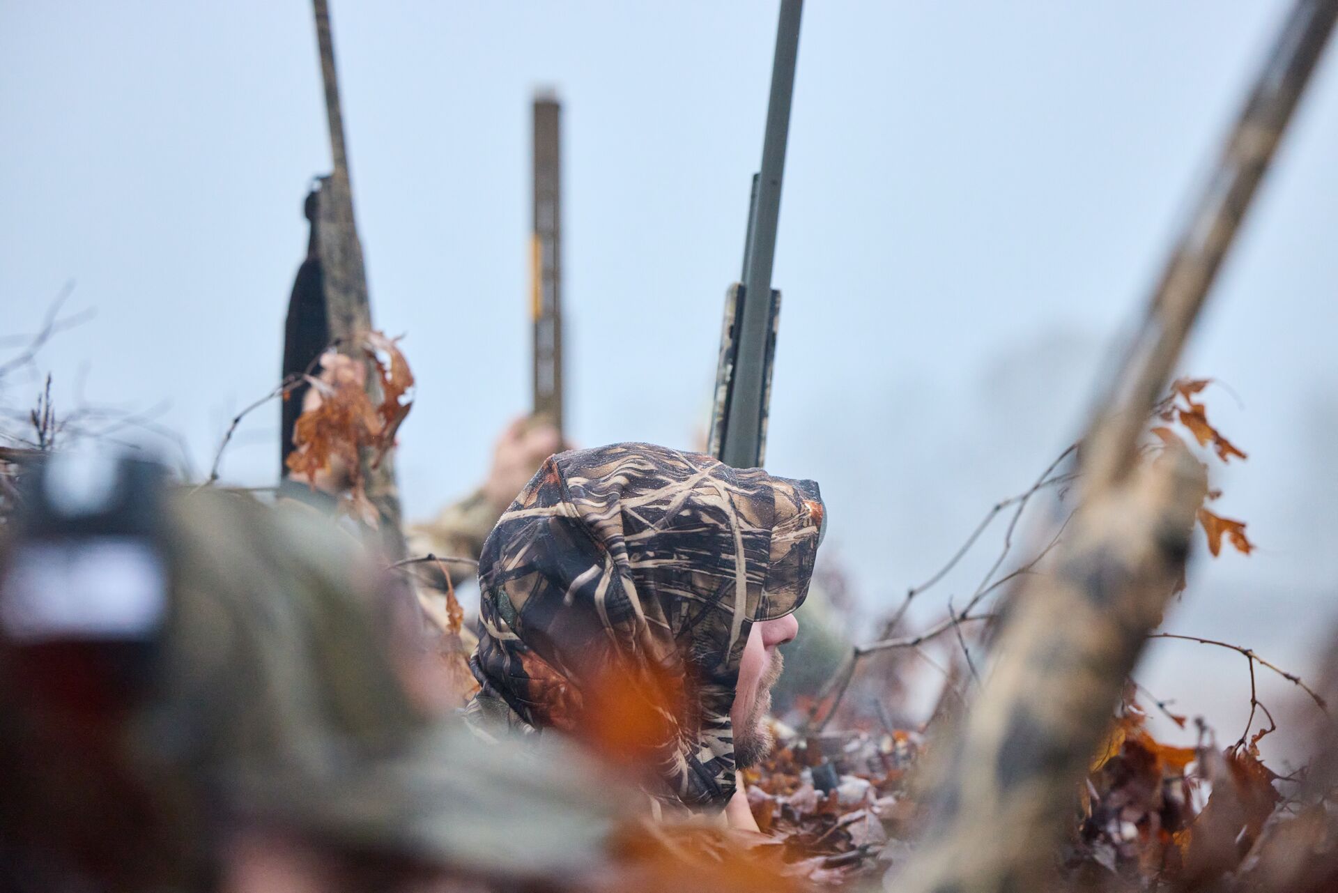 Shotguns pointing out of duck blind during hunt. 