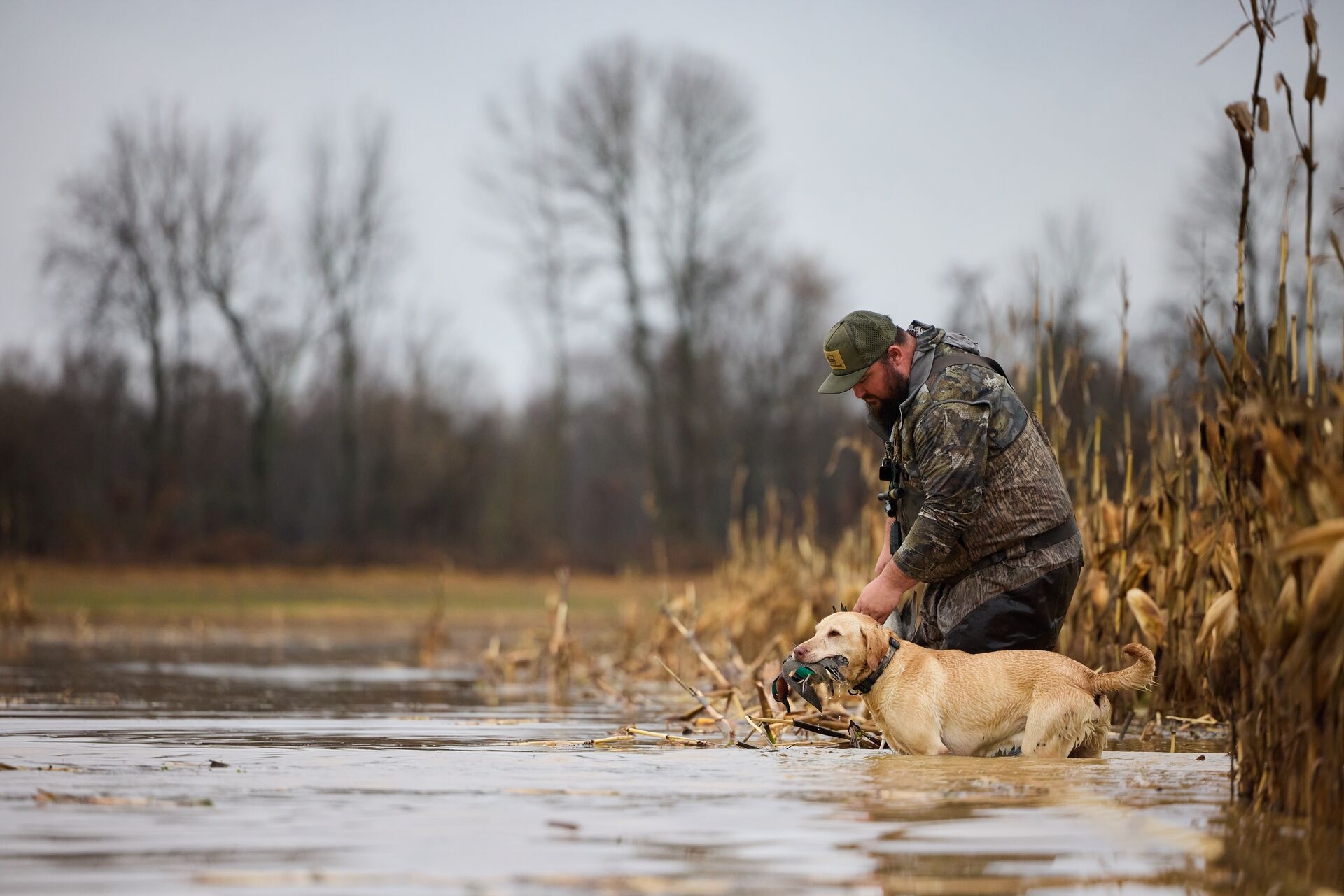 Guide to the 2025 NC Duck Season | Hunter-ed.com™