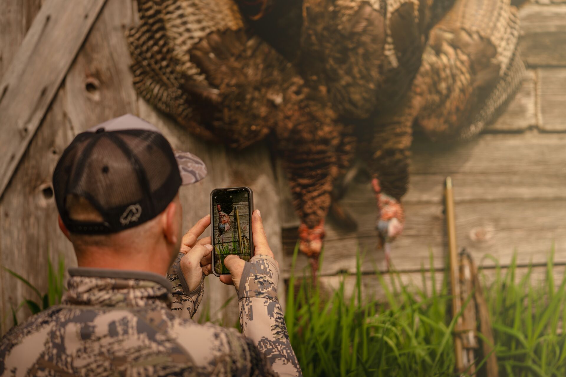 Hunter takes photos of turkeys hanging upside down, beginner's guide to hunting concept.
