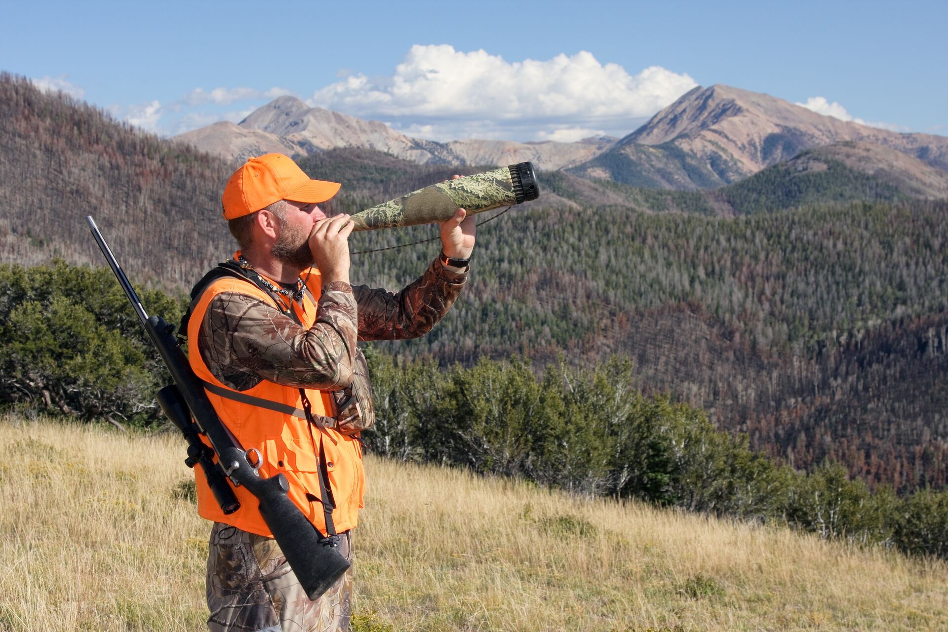 Hunter in blaze orange using elk bugle call, elk drawing concept. 
