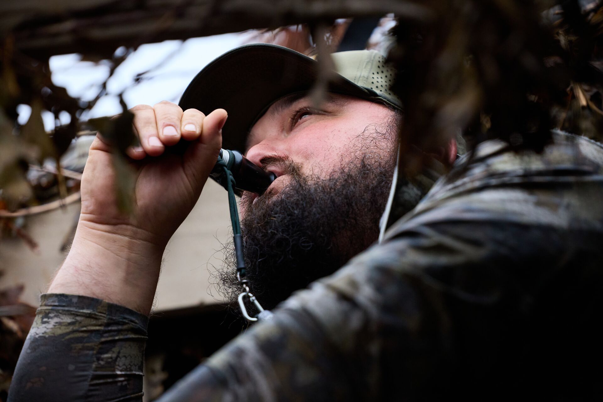 Duck hunter using a call in a blind. 