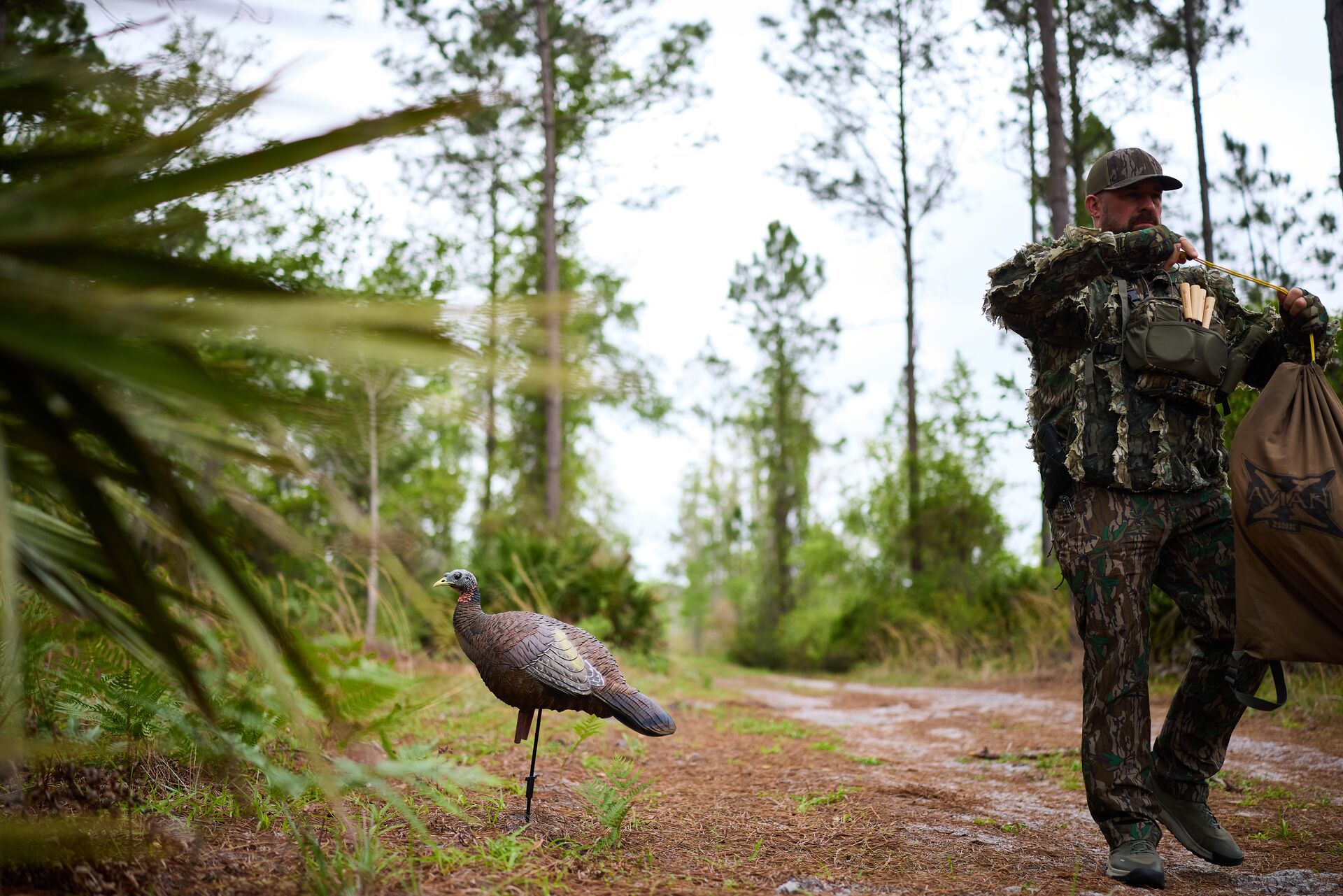 Hunter places turkey decoys, spring turkey hunting tips concept. 