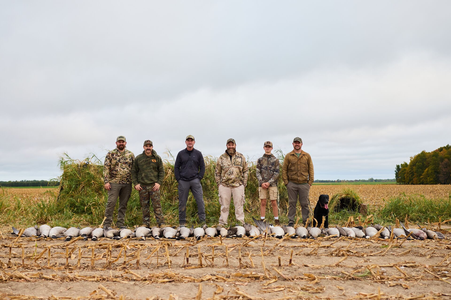 Group of hunters standing behind row of geese on the ground after a hunt.