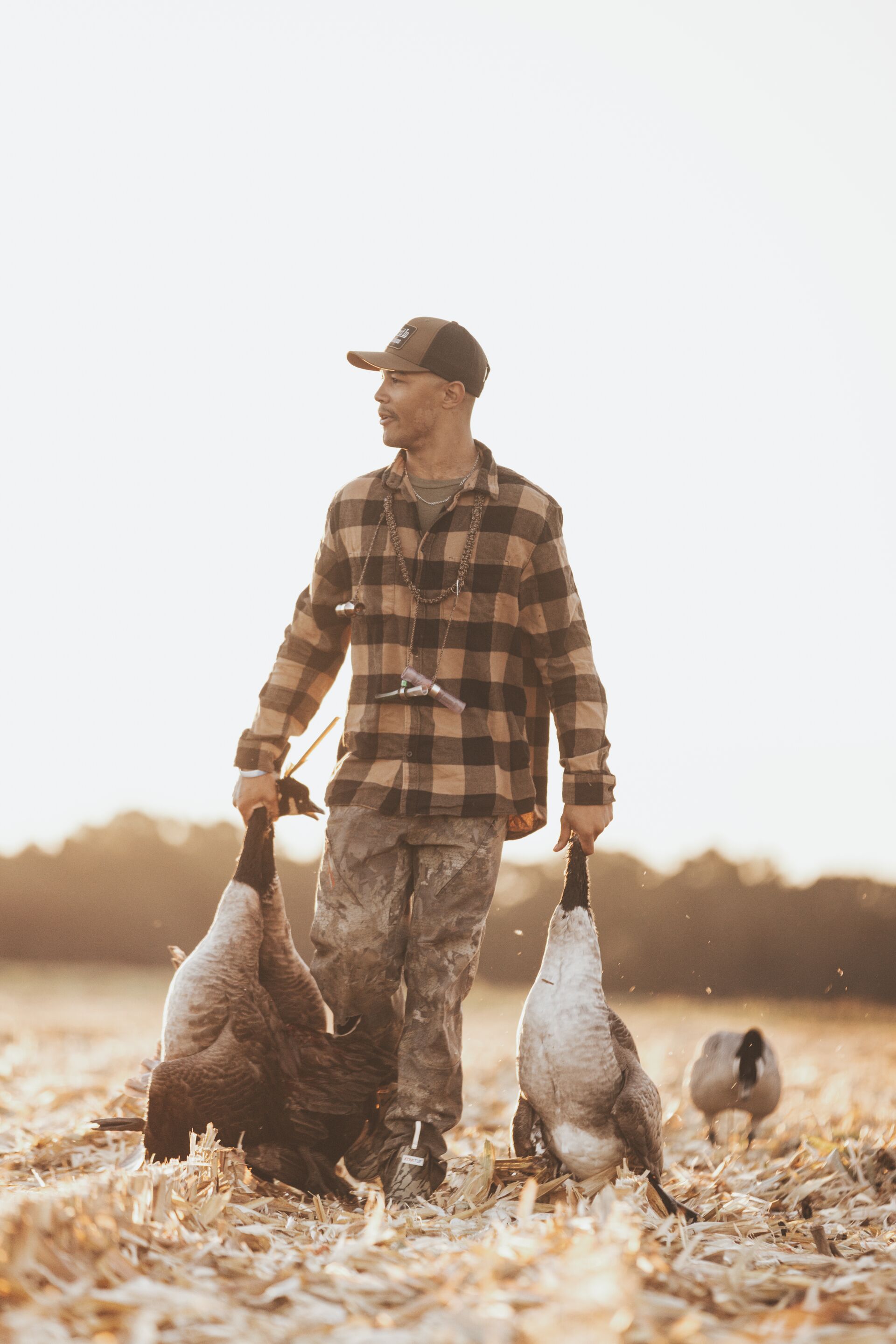 Hunter carries geese after hunt, Texas hunting residency rules concept. 