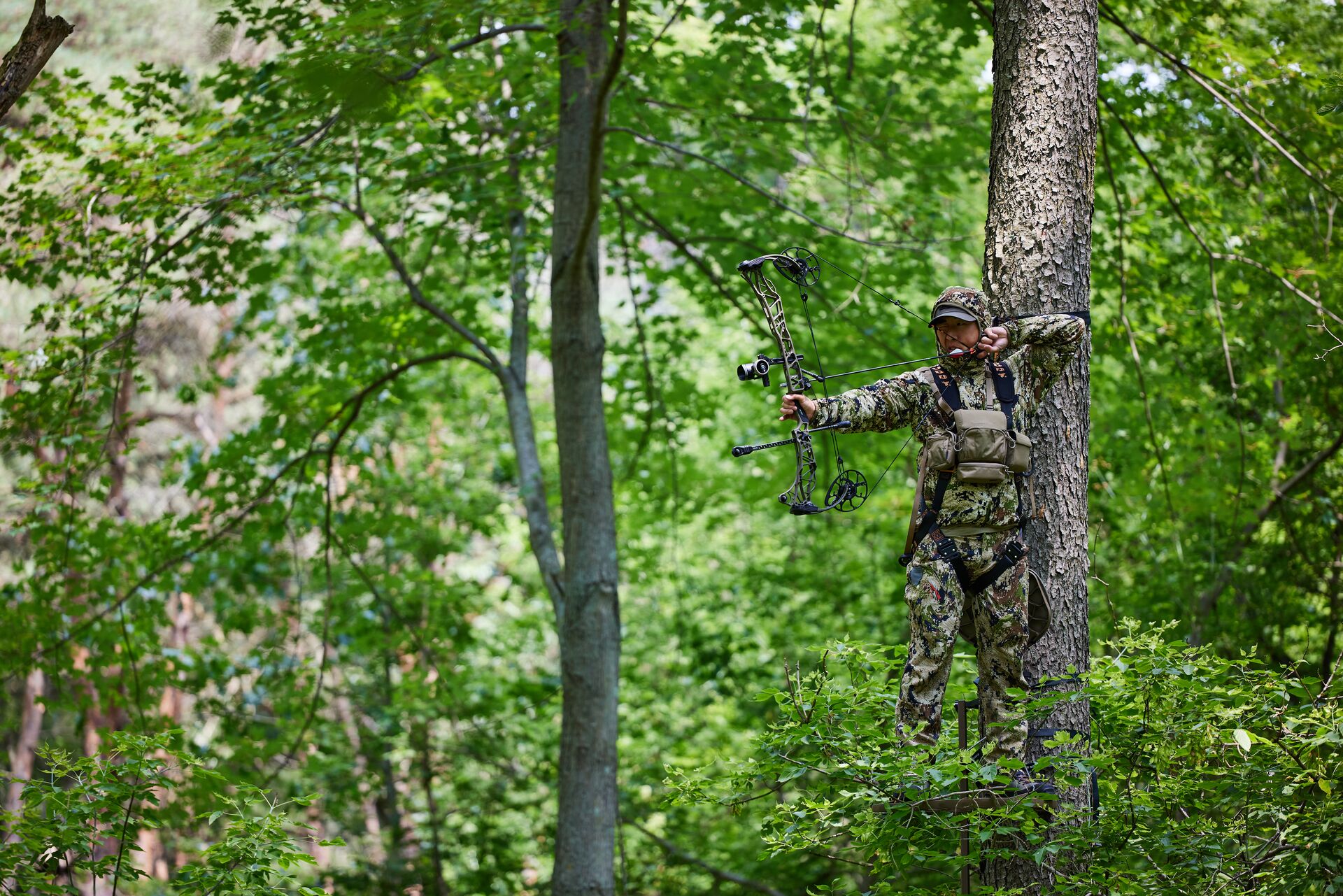 Hunter in camo in tree stand aims bow for hunt. 
