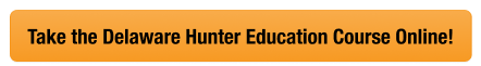 Take the Delaware hunter education course online through Hunter-Ed.