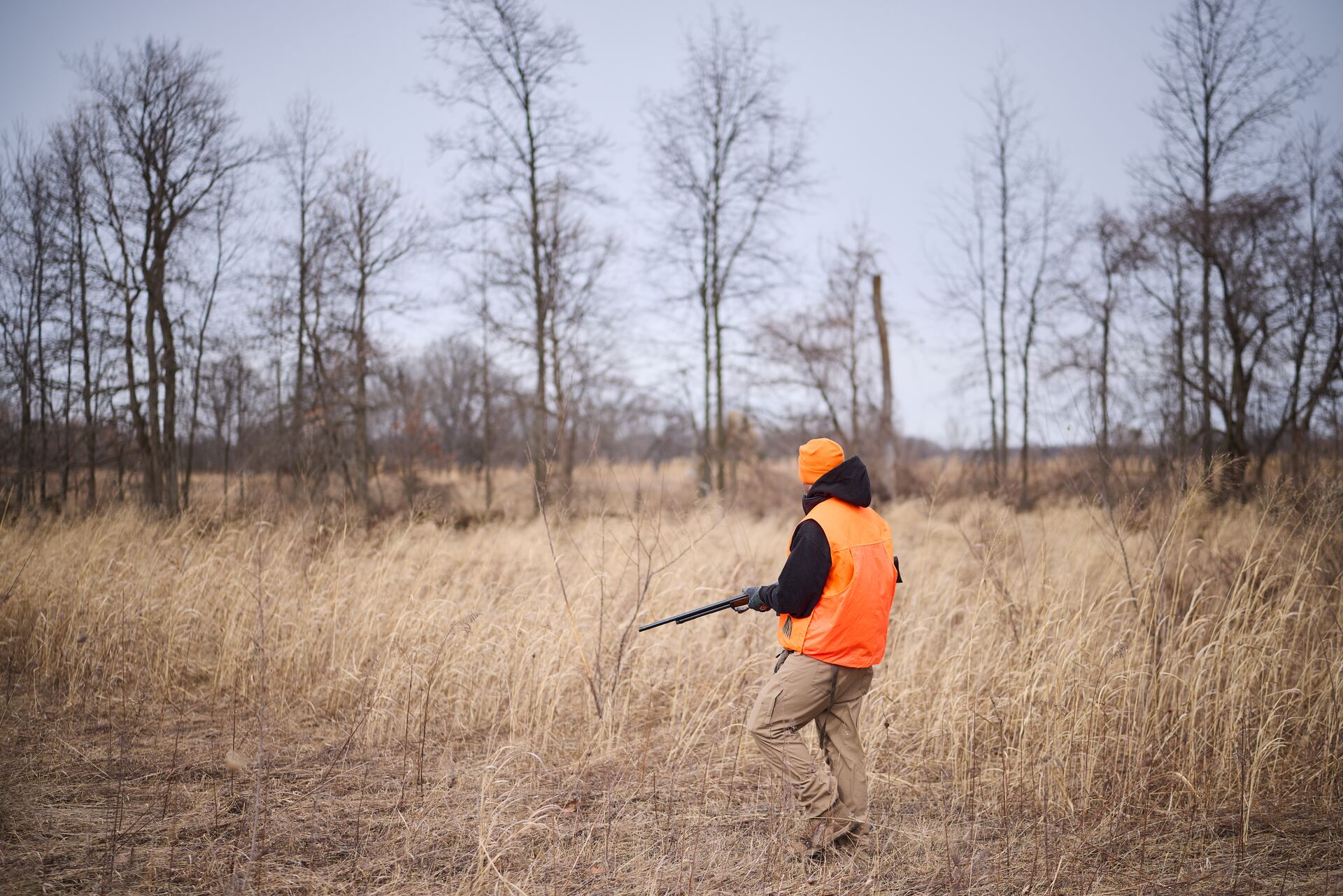 Hunter wears blaze arms and carries firearm in field. 