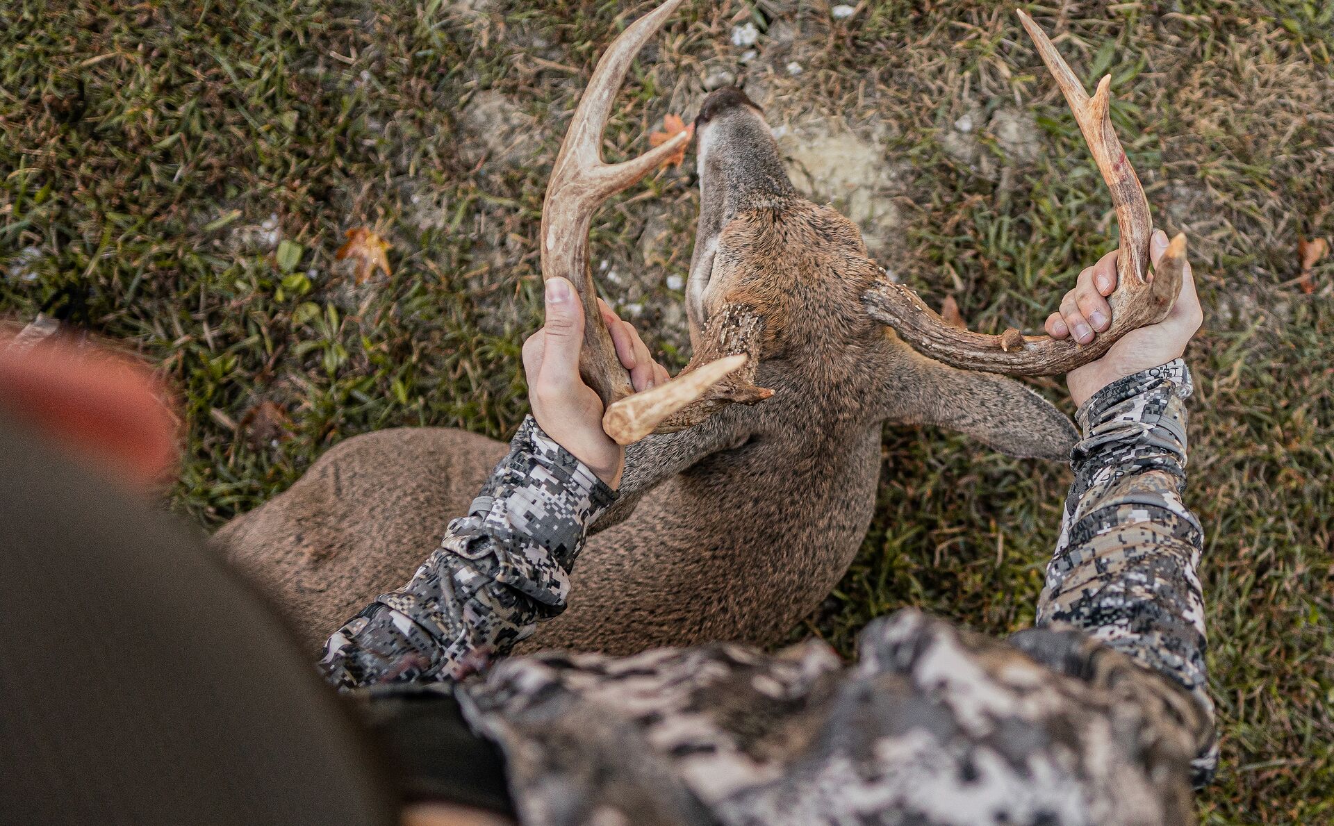 View looking down at deer and antlers held by hunter.