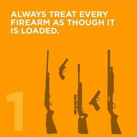 Graphic, rule one of firearm safety rules.