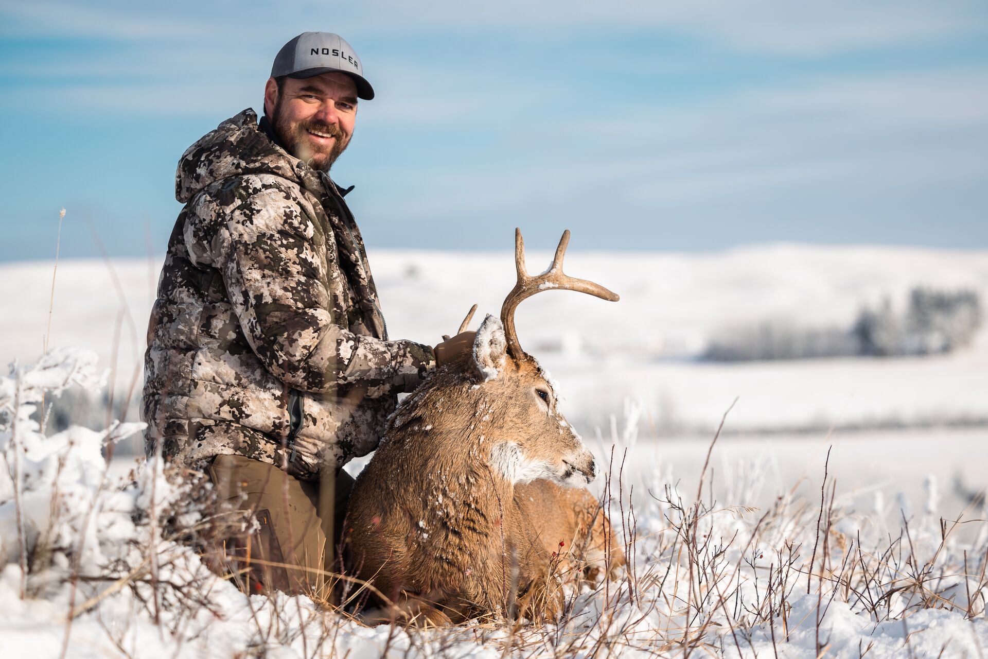 Hunter in the snow with buck after hunt, how much does an Montana hunting license cost concept. 
