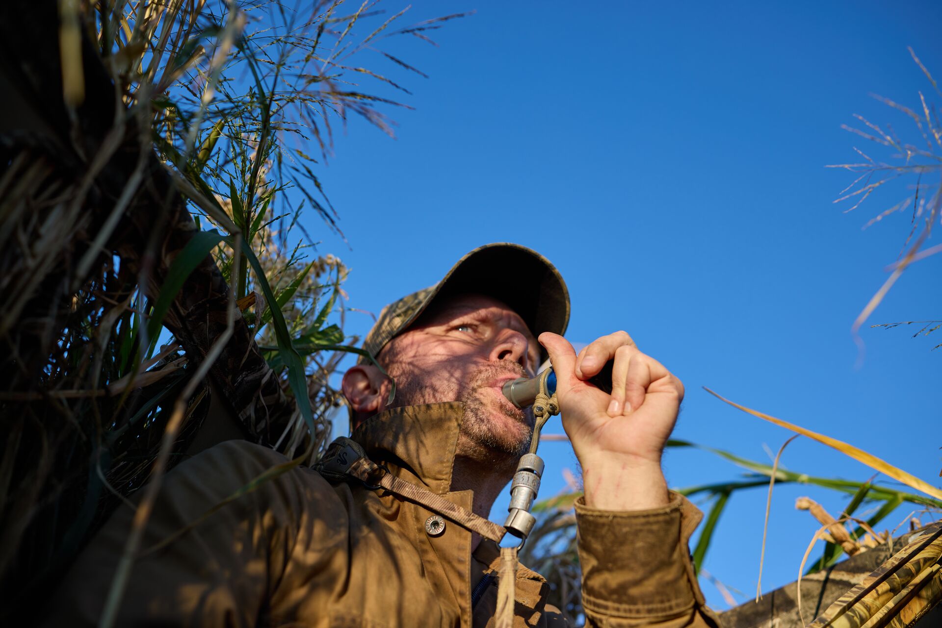 Hunter using a duck call, Iowa hunting license cost concept. 
