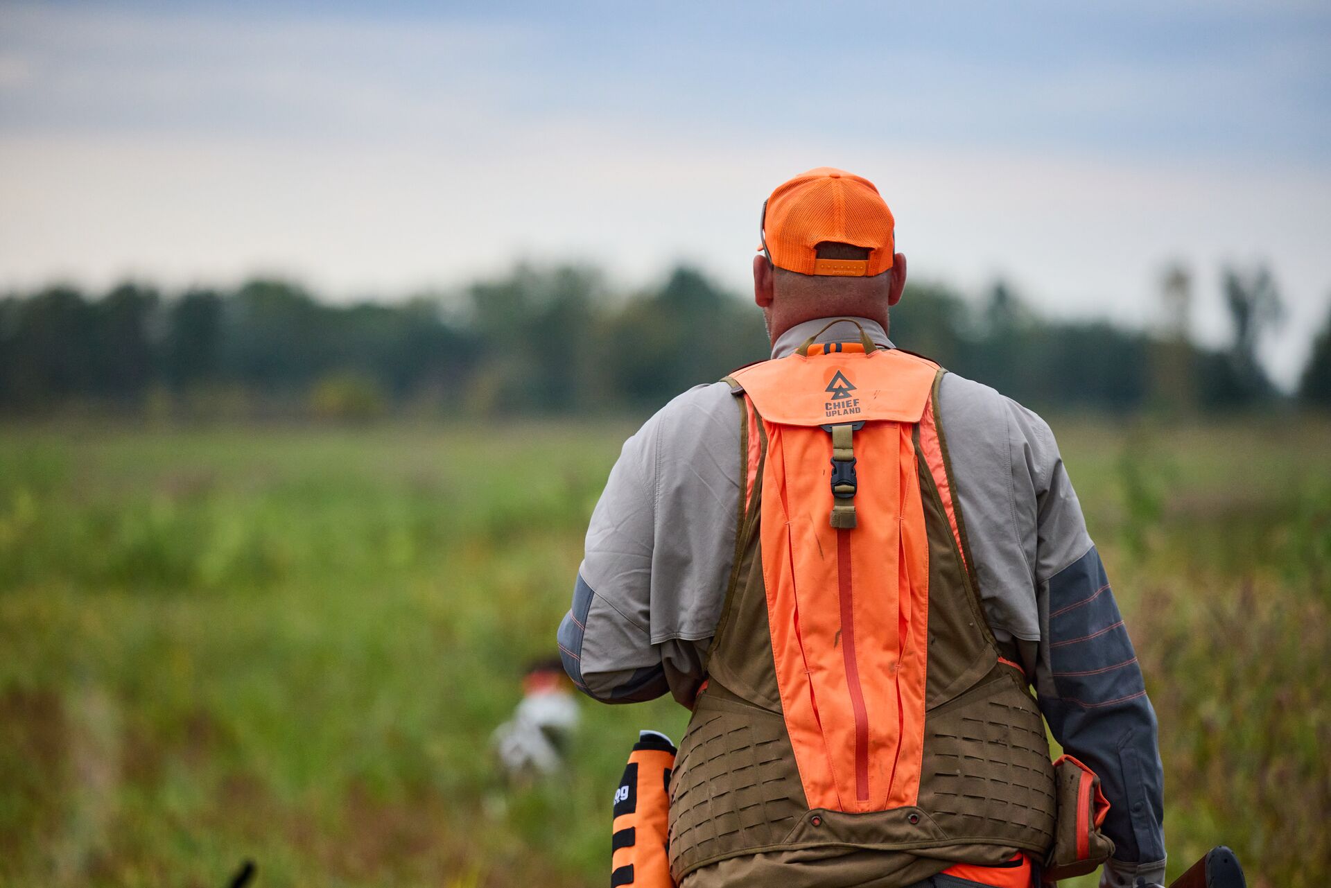 Back view of hunter in blaze orange in a field, Louisiana hunting license concept. 