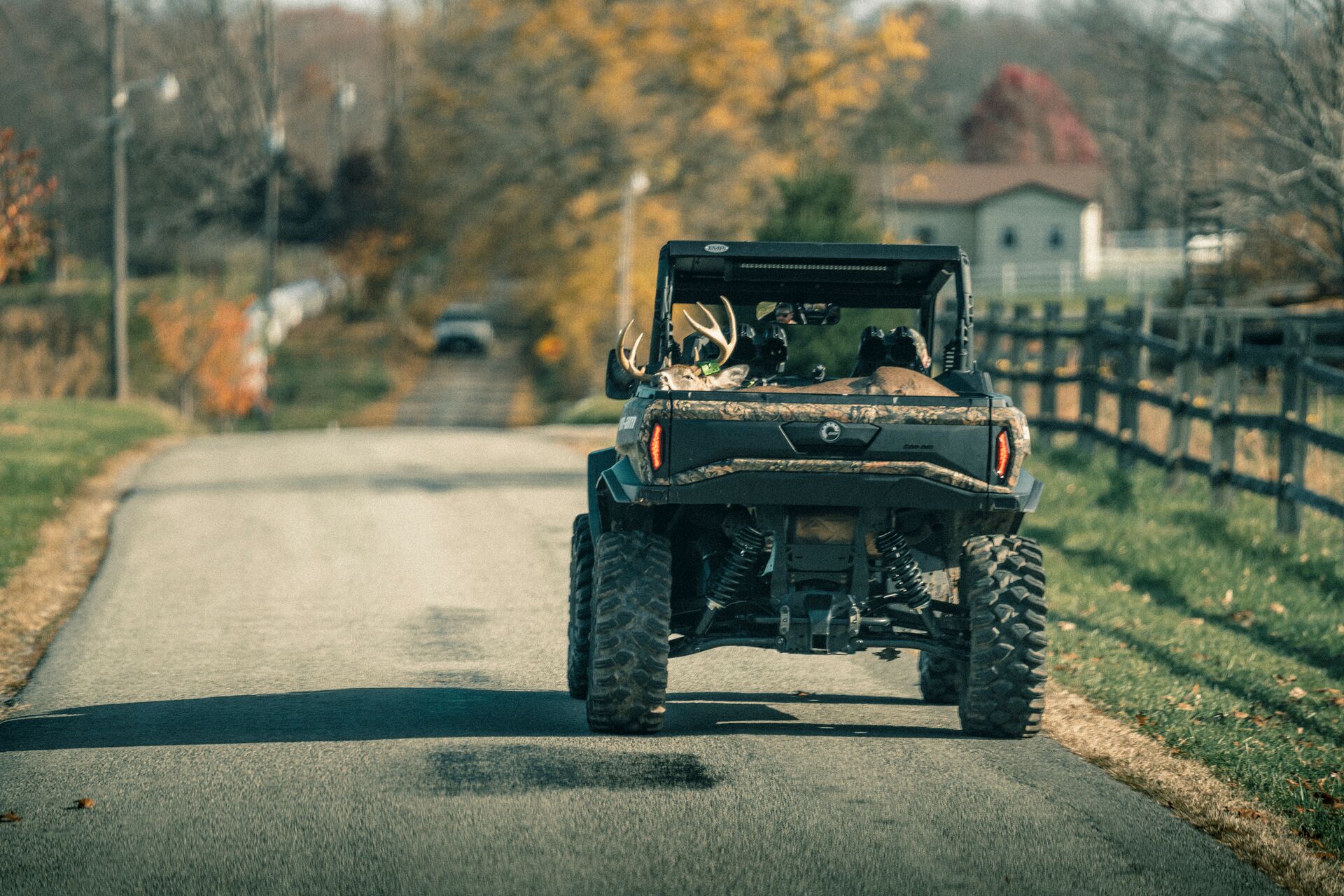 Deer in back of ATV driving on the road, do I need a hunting license concept. 