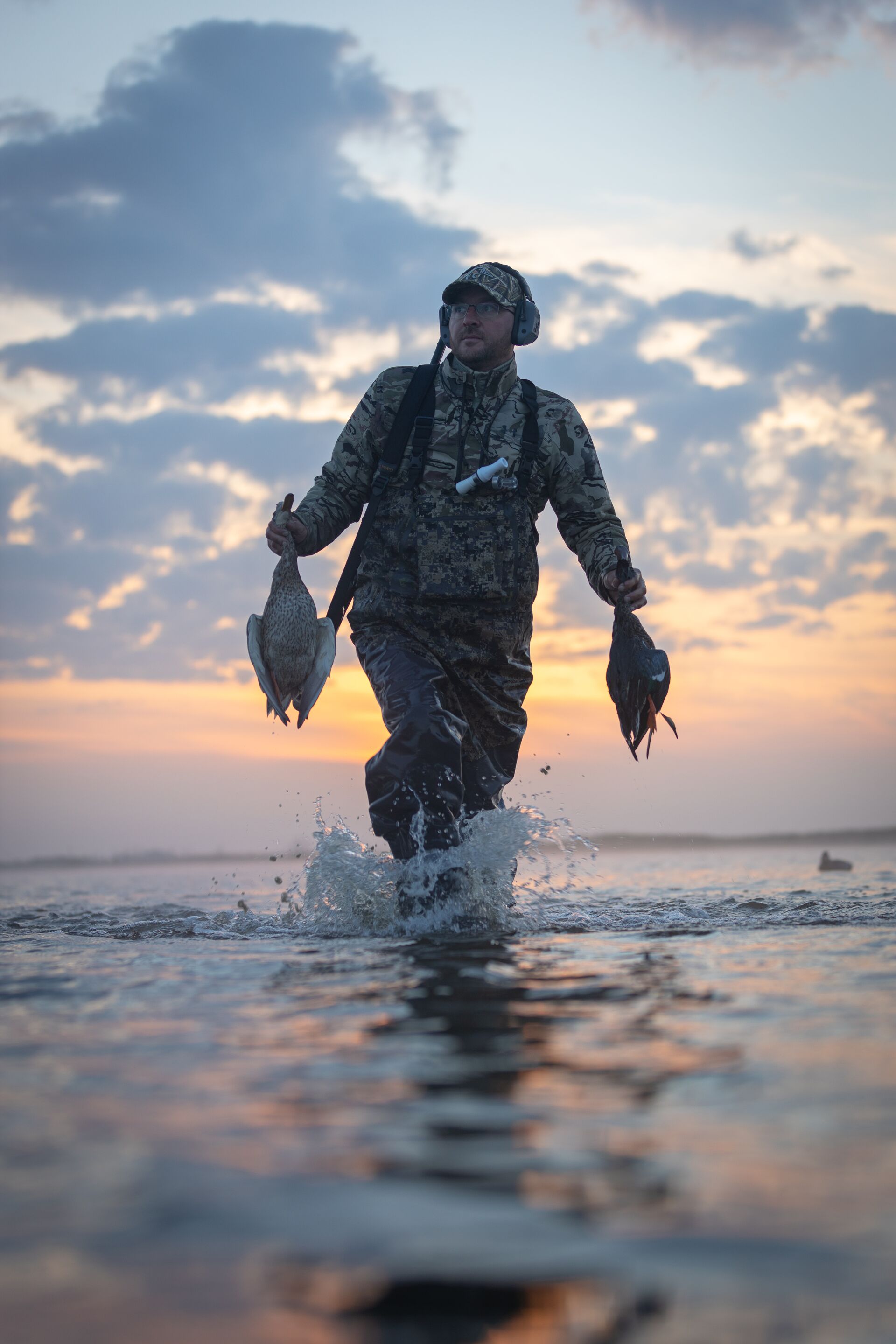 Hunter carries waterfowl out of water after hunt.