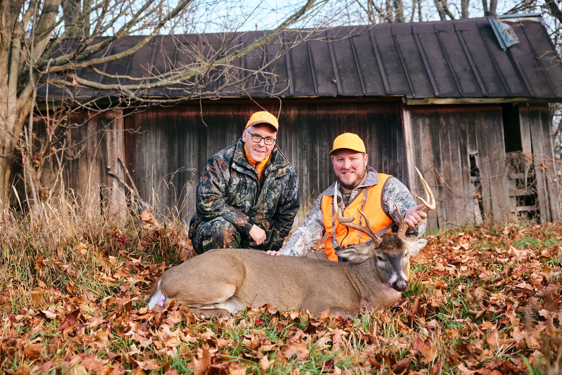 Two hunters in orange with deer buck after hunt, do I need a hunting license concept. 