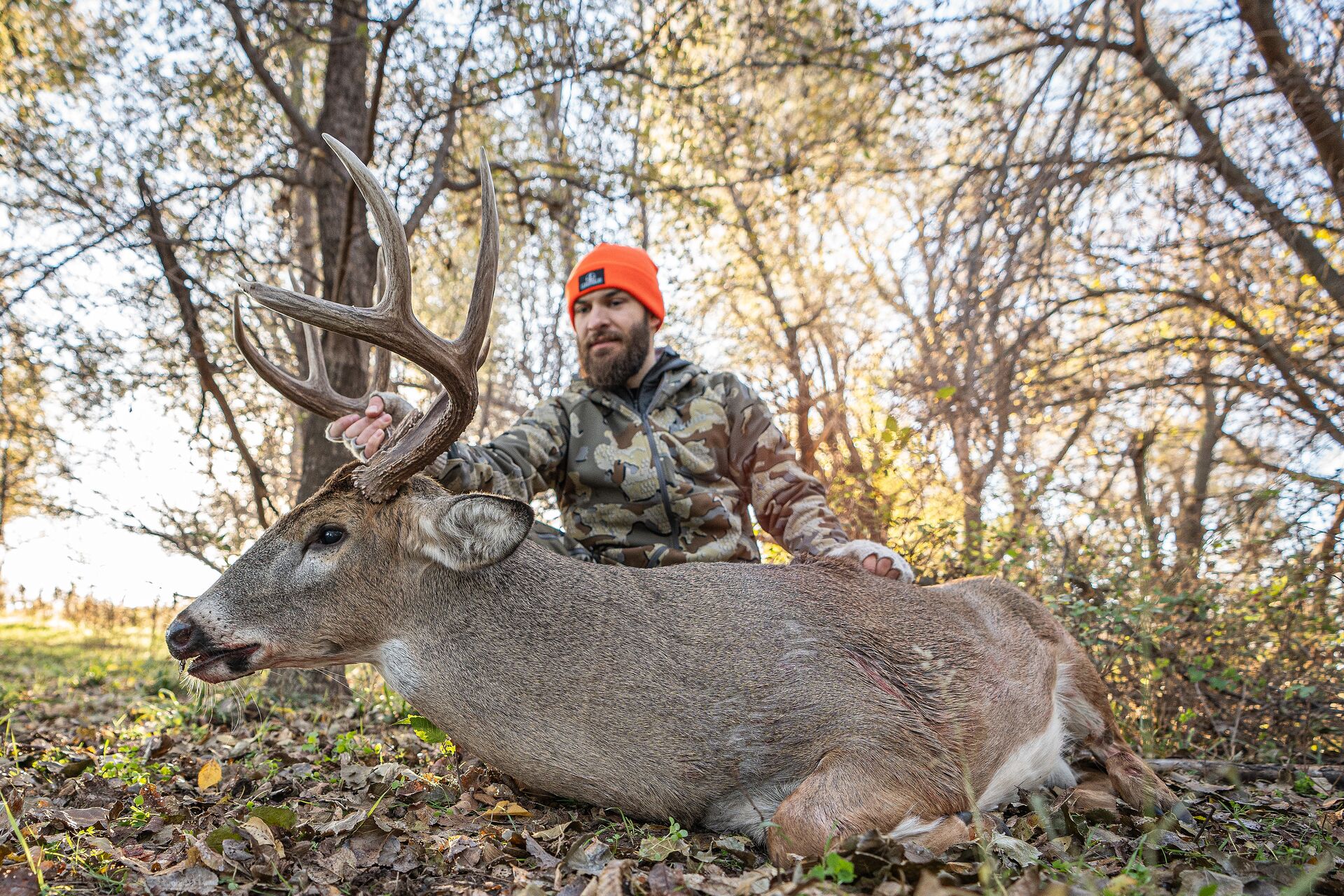 Hunter in orange beanie with buck deer, how to get an Ohio hunting license concept. 