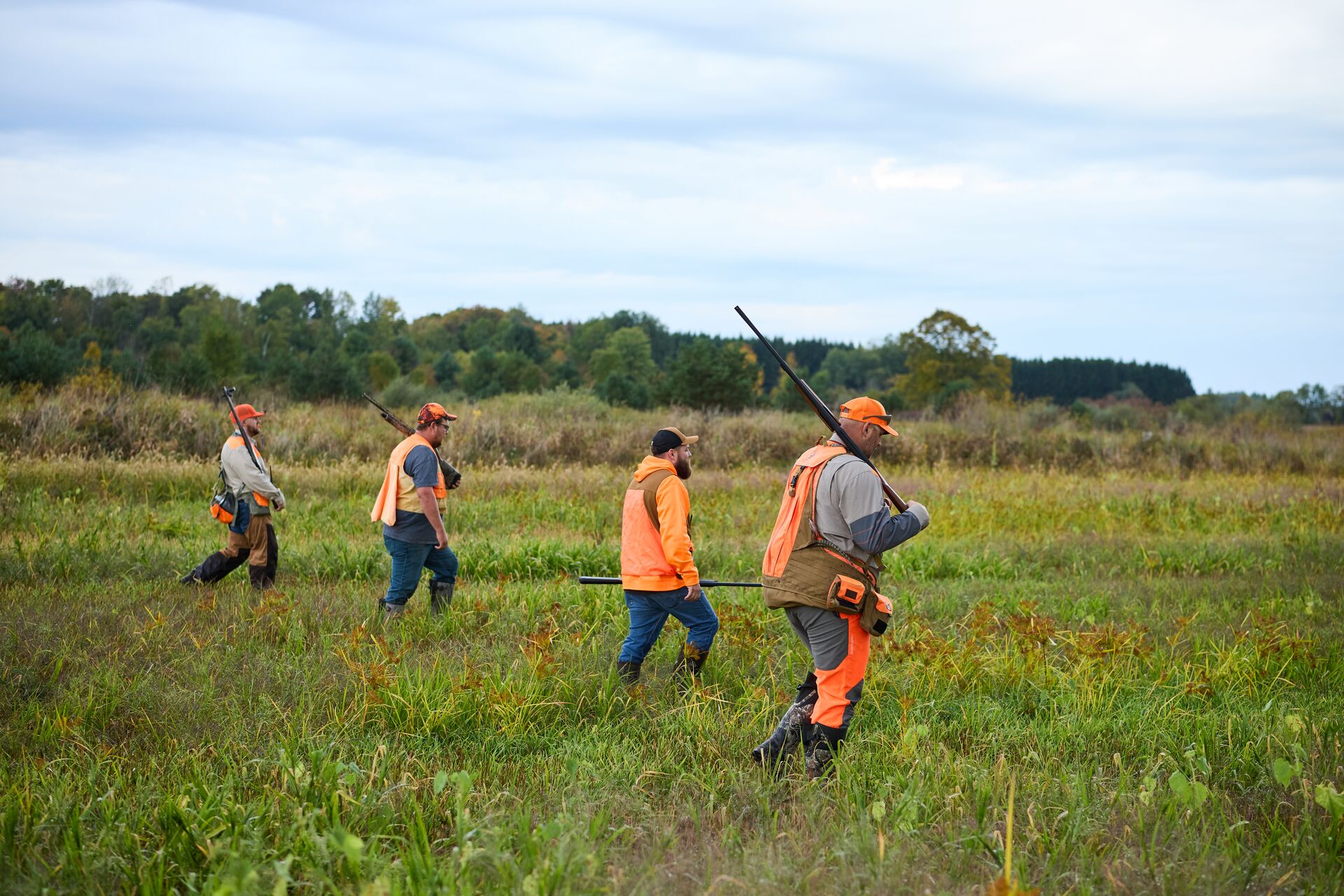 Hunters in blaze orange walk field for upland hunt, get Ohio hunting license concept. 