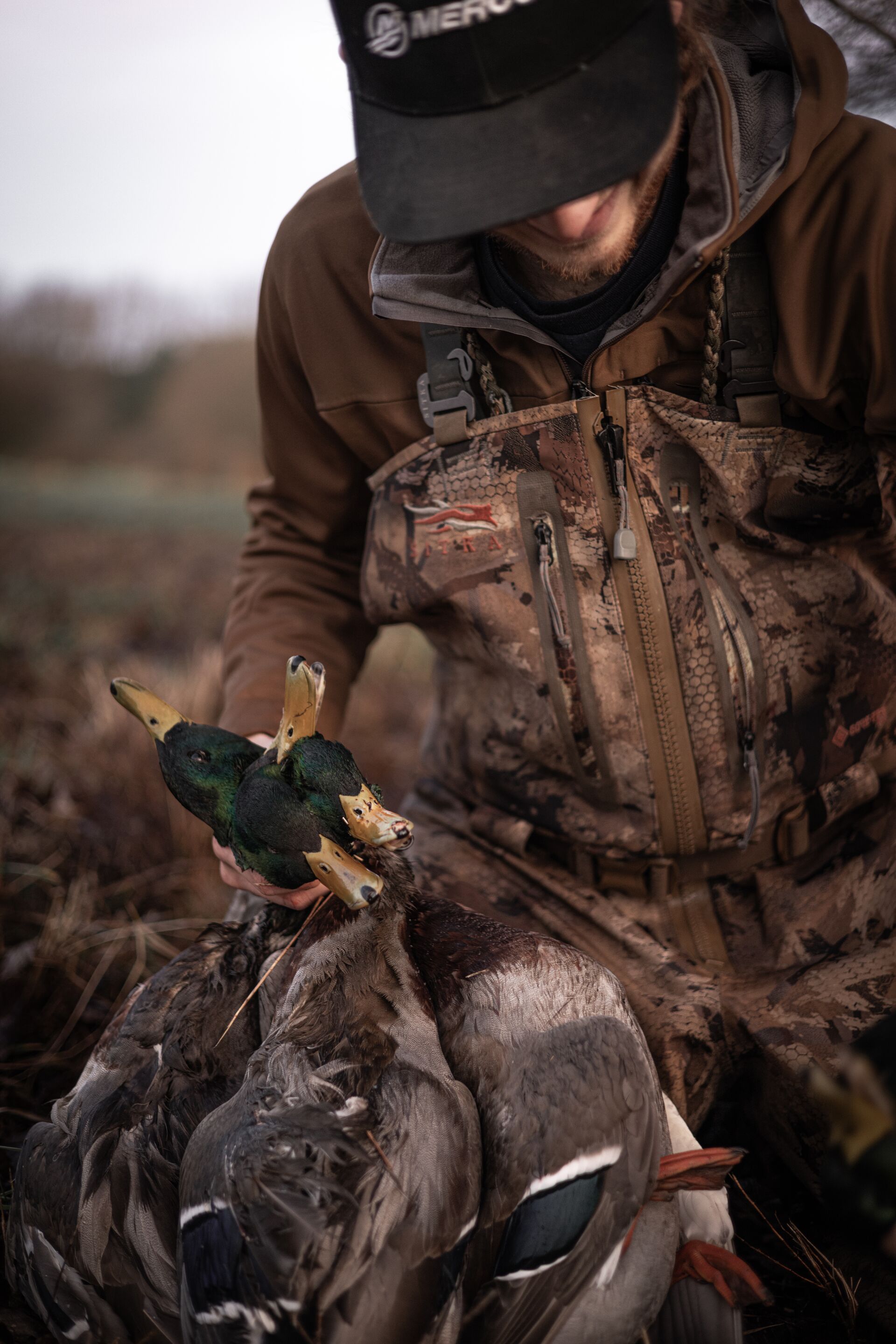 Duck hunter with several ducks after hunt, get a hunting license online concept. 