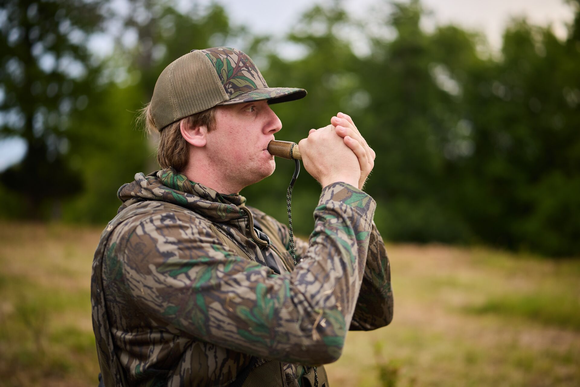 Hunter using turkey mouth call in the woods, online hunting license concept. 