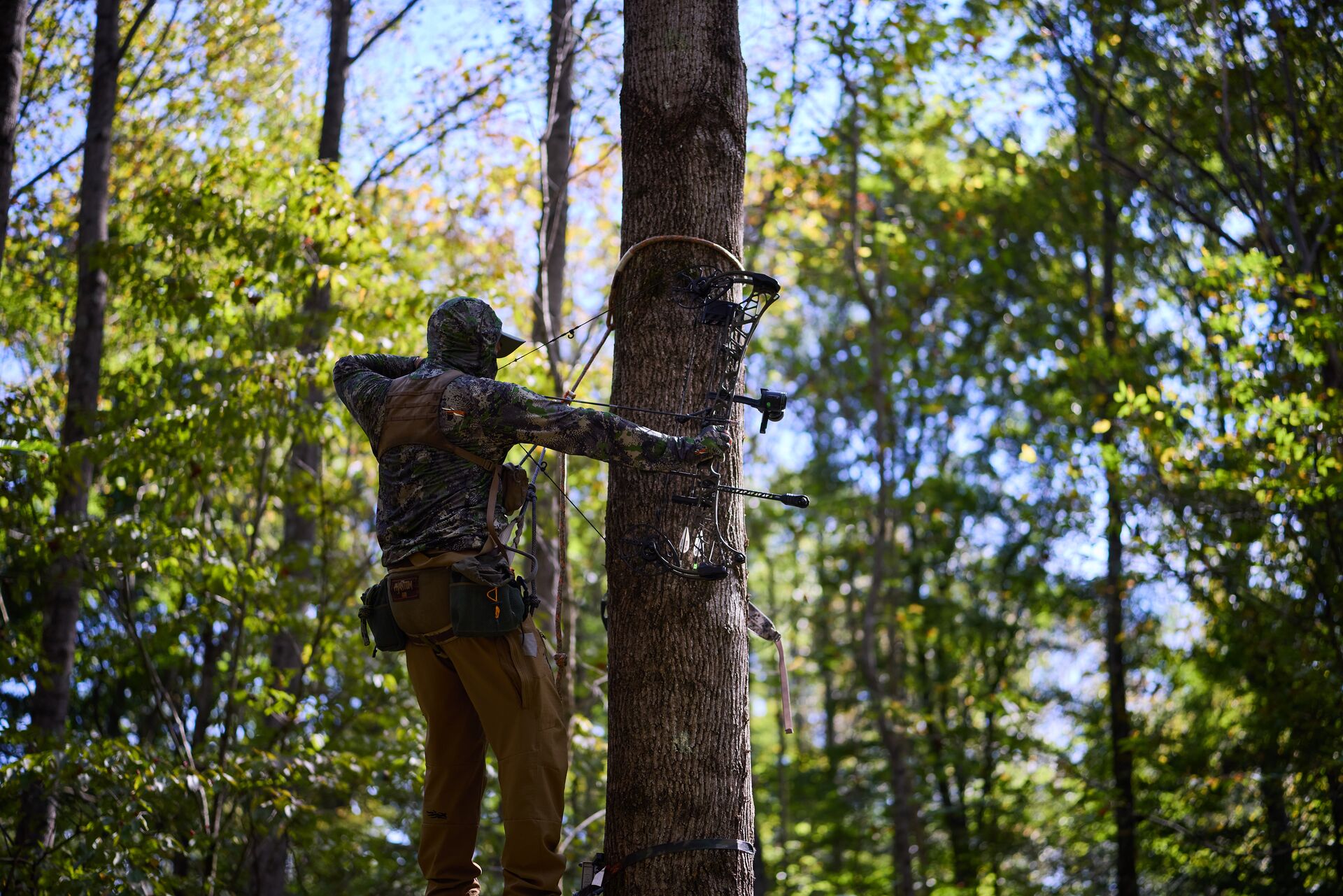 Hunter in a tree aims a bow, bowhunter education concept. 
