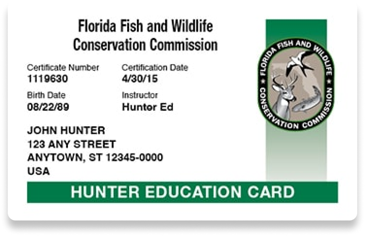 Illustration of the Florida Hunter Education Card, documents to get Florida hunting license concept.