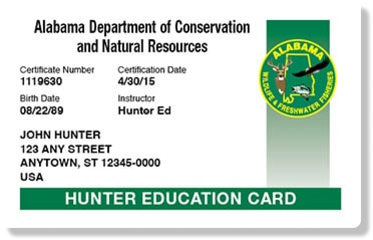 Alabama hunter education card illustration, what you need for an Alabama hunting license concept.