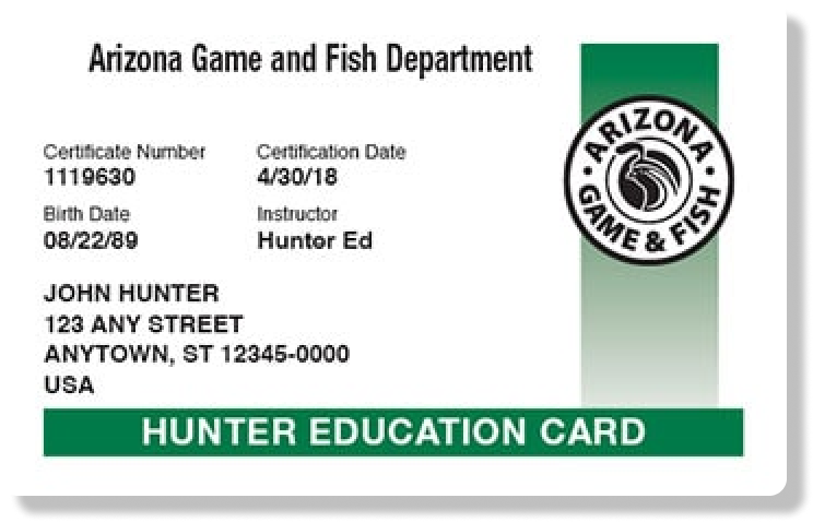 Arizona hunter education card illustration, documents you need for hunting license concept. 