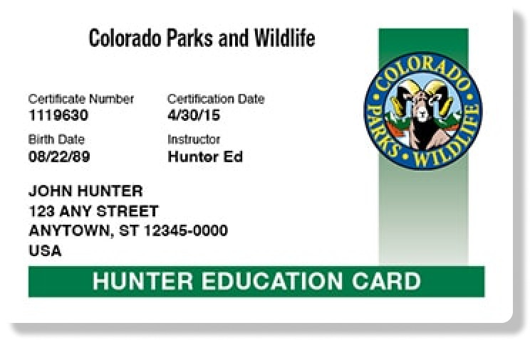 Colorado Hunter Education Card illustration, documents for hunting license concept. 