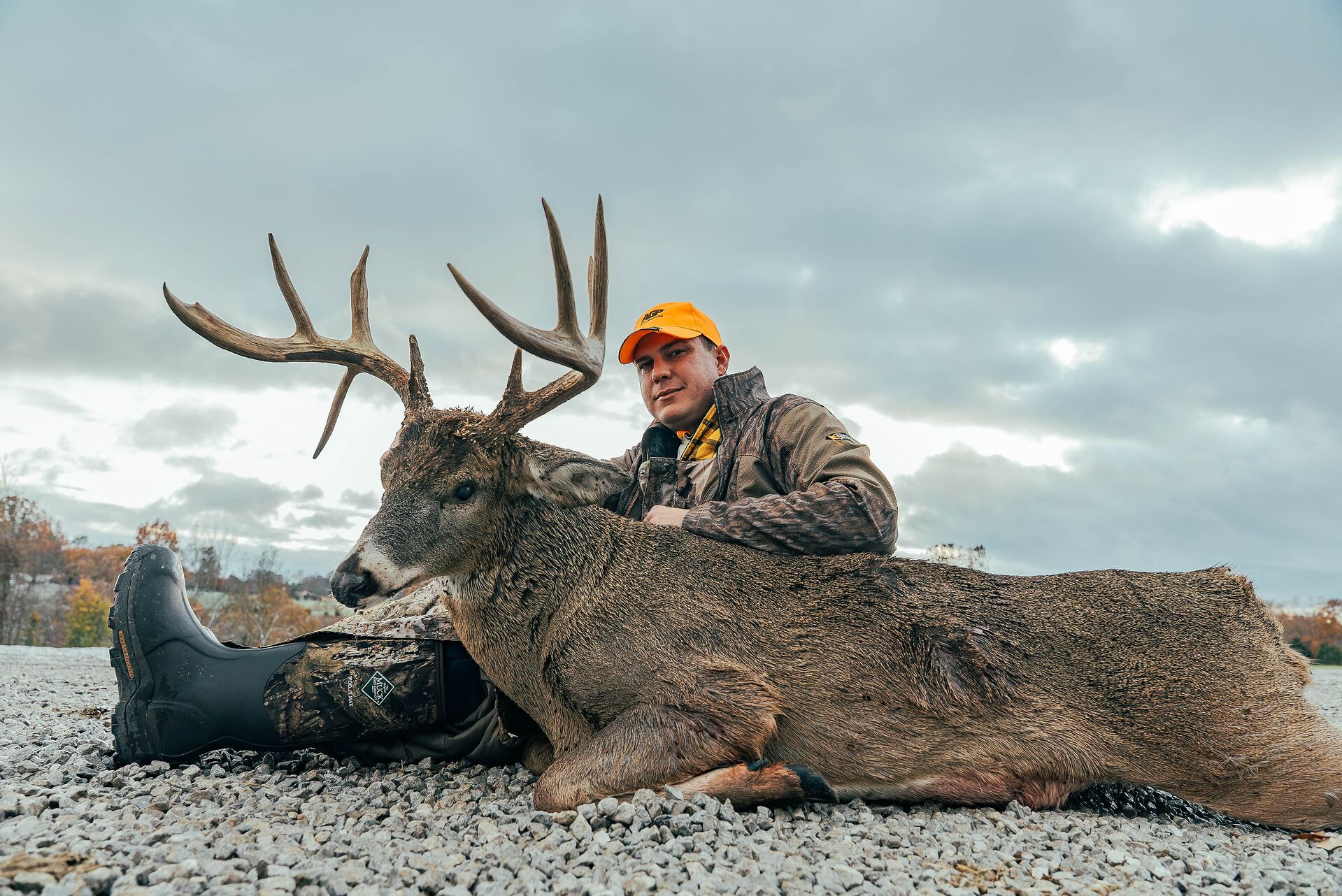 Hunter in orange hat with buck deer after hunt, get an Illinois hunting license concept.