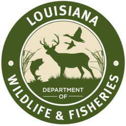 Illustration of the Louisiana Wildlife & Fisheries logo, get a Louisiana hunting license concept.