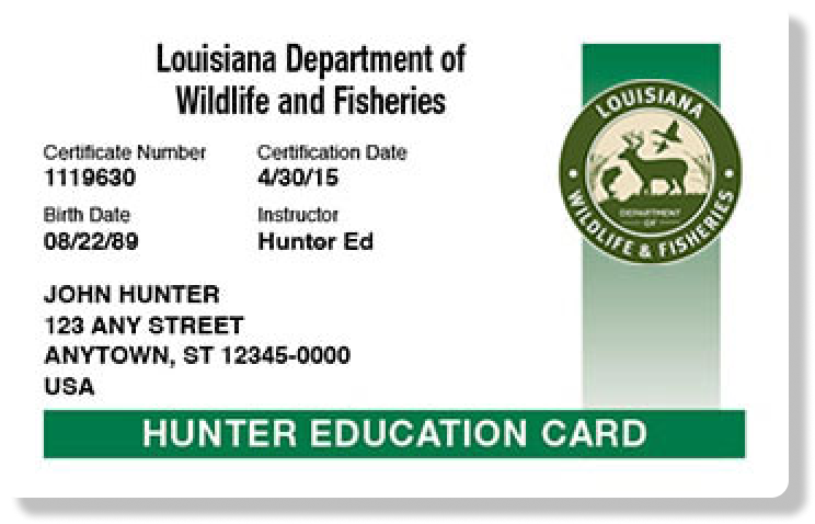 Illustration of the Louisiana hunter education card, what you need for Louisiana hunting license concept.