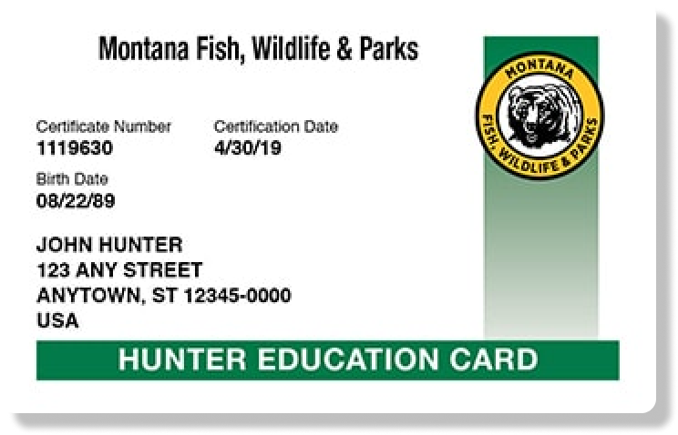 Montana hunter education card, get your Montana hunting license concept.