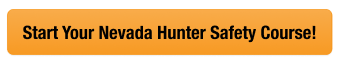 Yellow CTA button to start the Nevada hunter safety course, get a Nevada hunting license concept. 